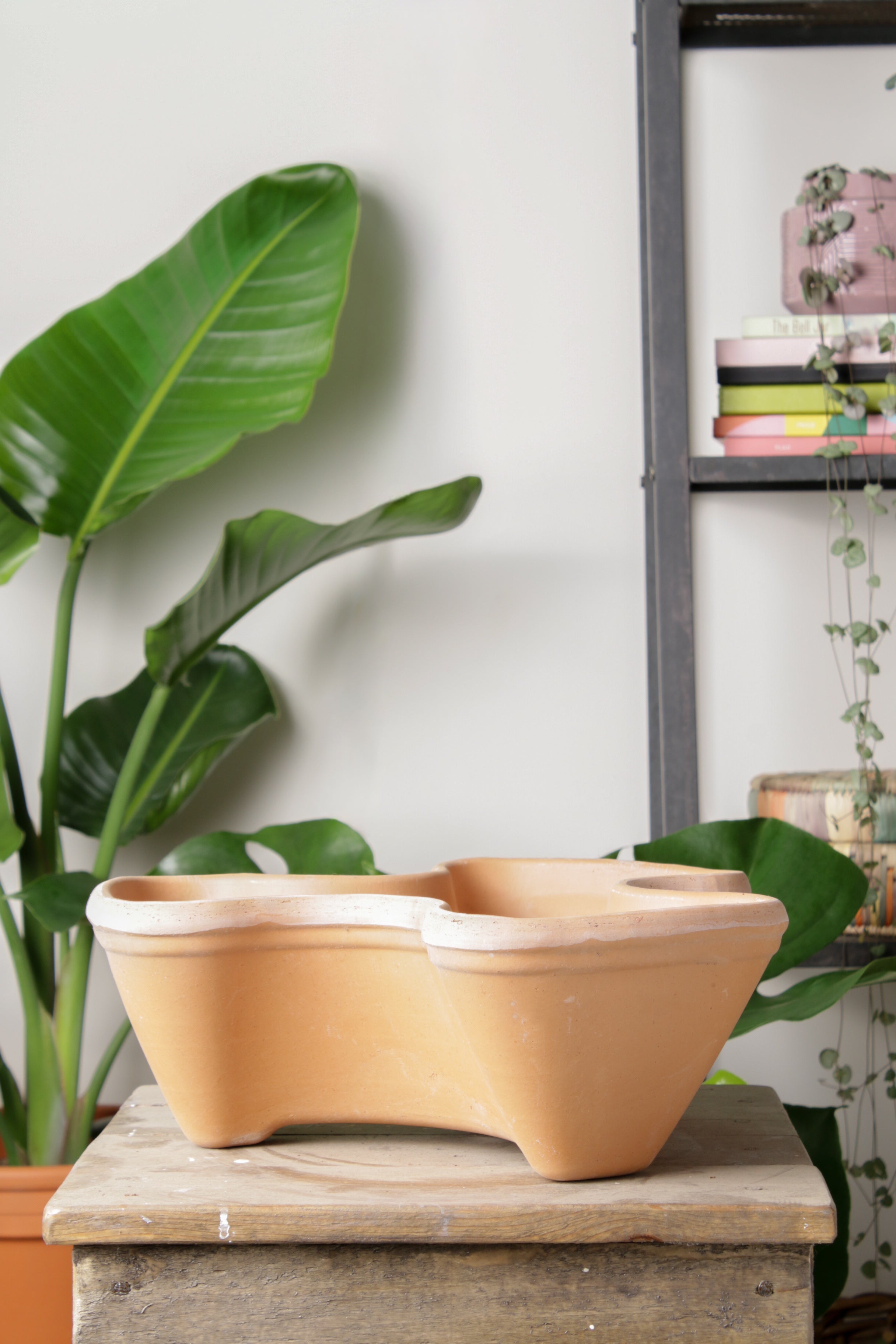 Jungleous-Herb Saksı-Saksı-4-Milagron.com