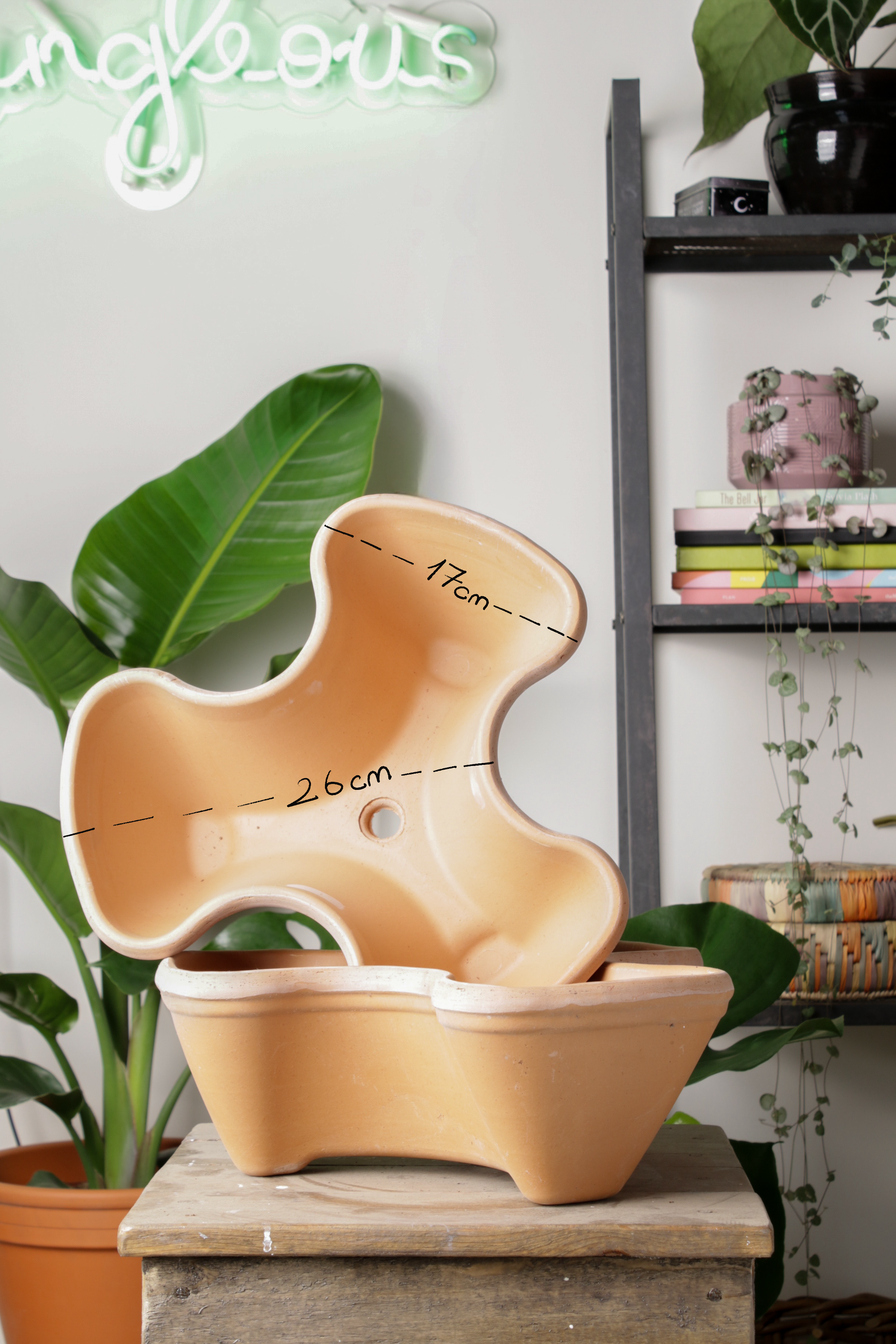 Jungleous-Herb Saksı-Saksı-5-Milagron.com