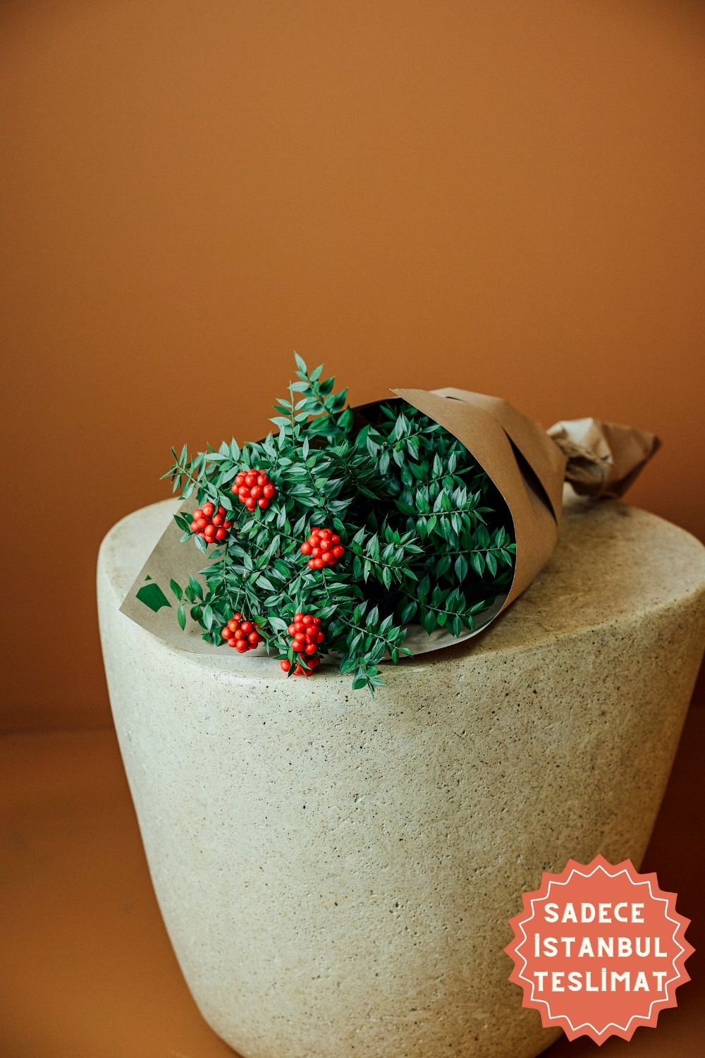 Jungleous-Kokina Demeti-Bitki-1-Milagron.com