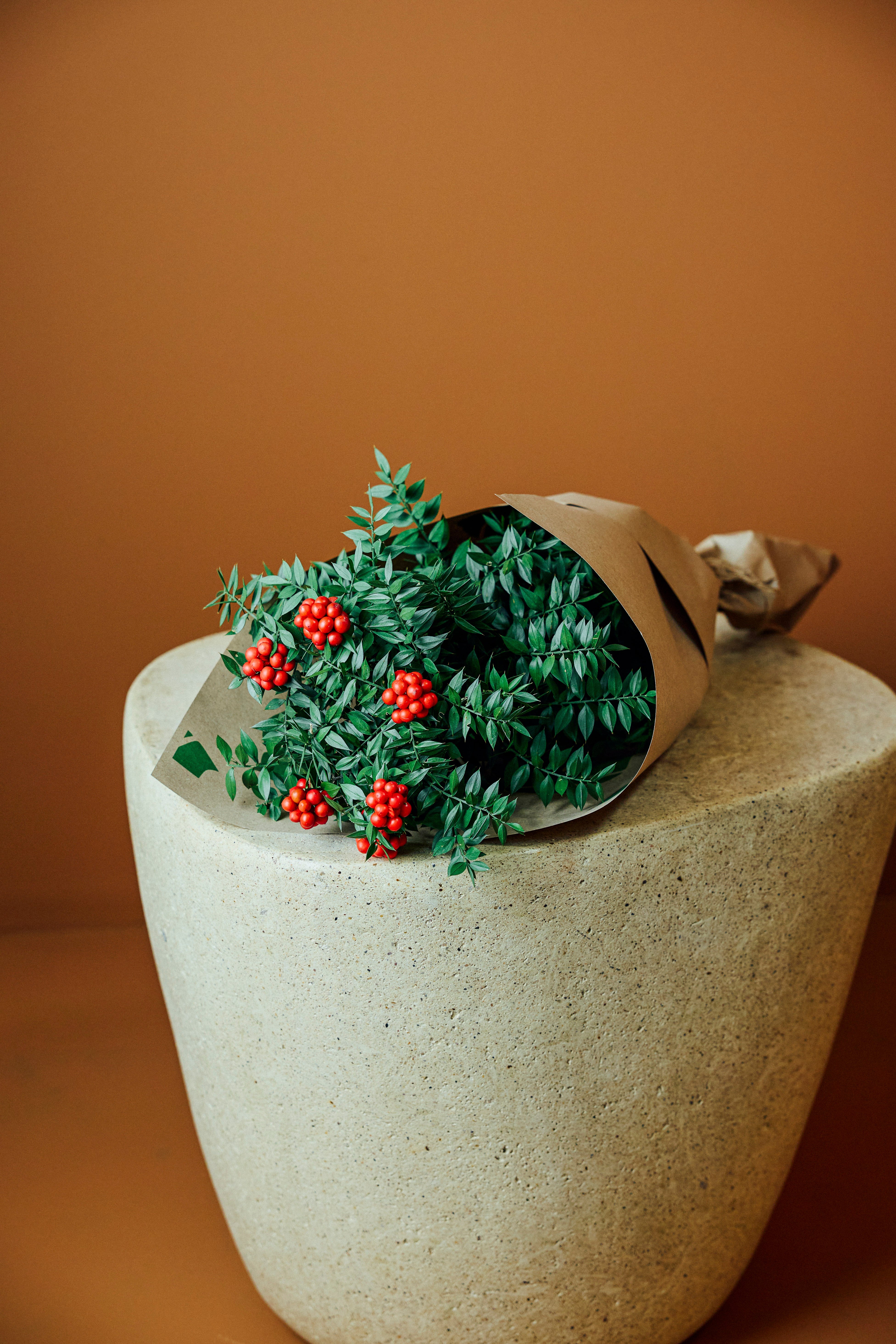 Jungleous-Kokina Demeti-Bitki-2-Milagron.com