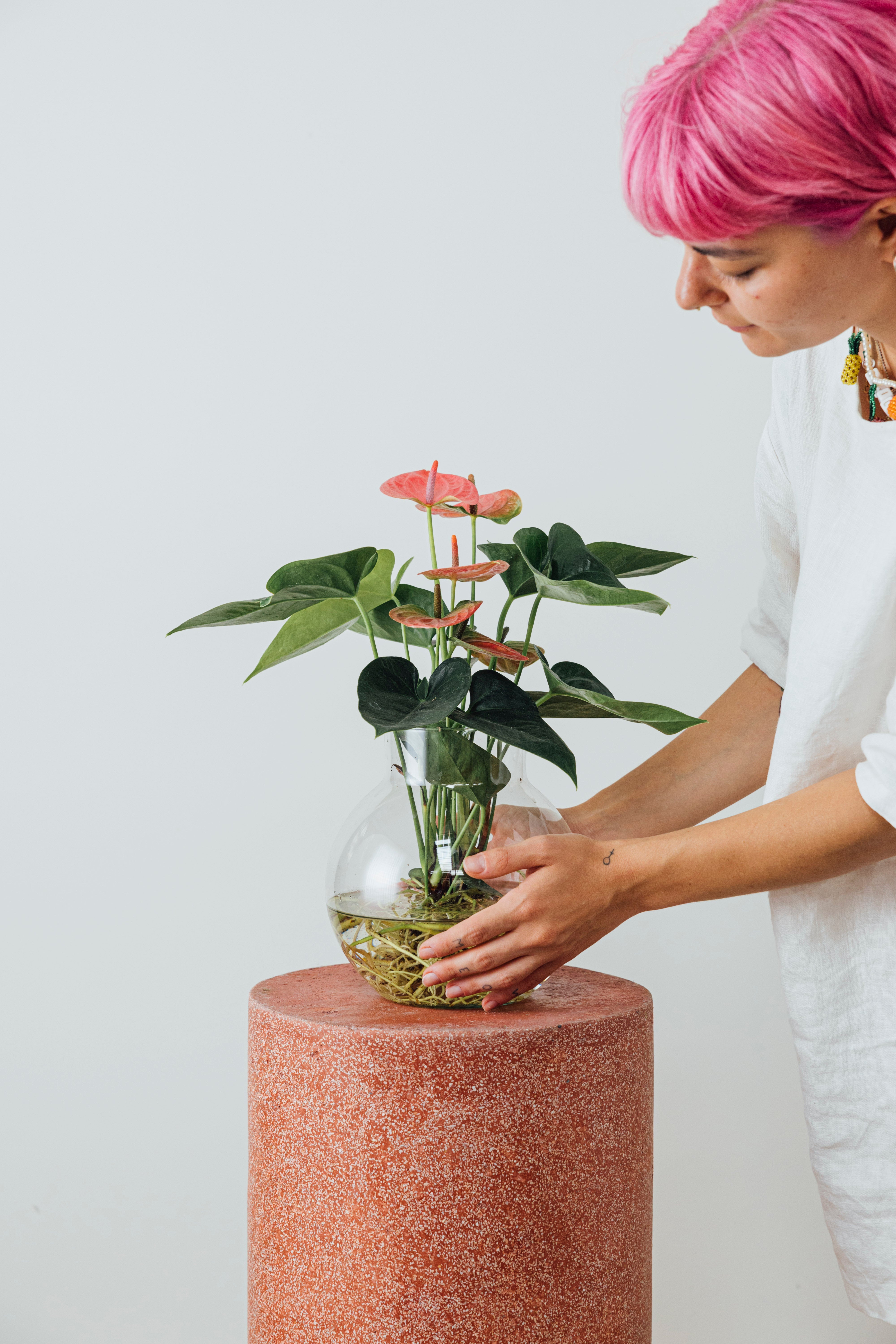 Jungleous-Lucia-Bitki-3-Milagron.com