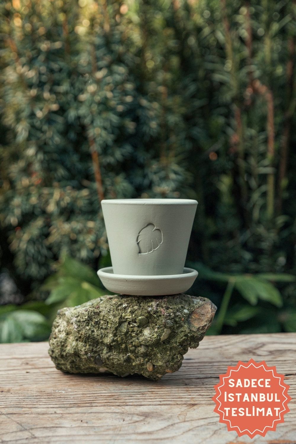 Jungleous-Mint Saksı 10 cm (Tabaklı)-Saksı-1-Milagron.com