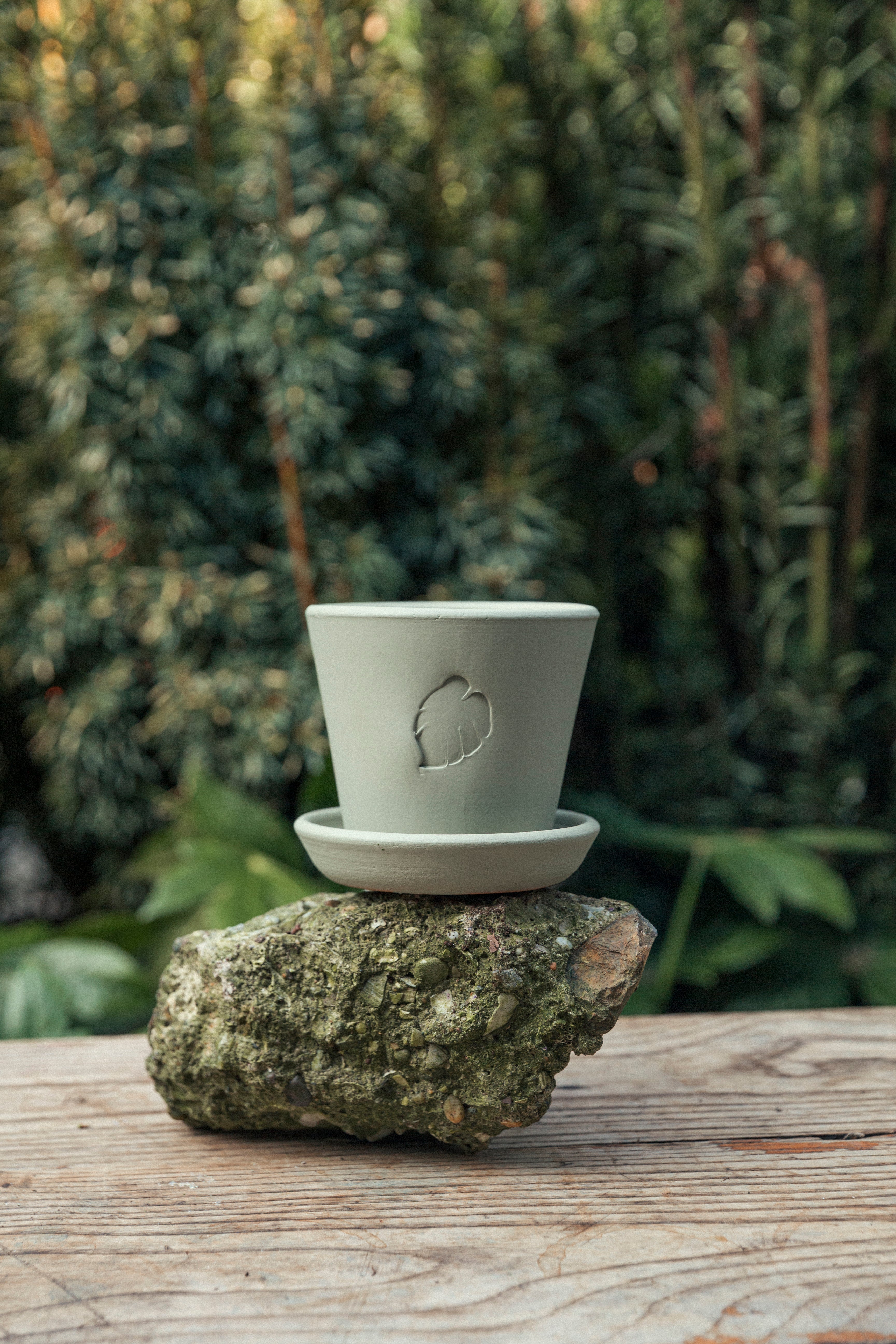 Jungleous-Mint Saksı 10 cm (Tabaklı)-Saksı-2-Milagron.com