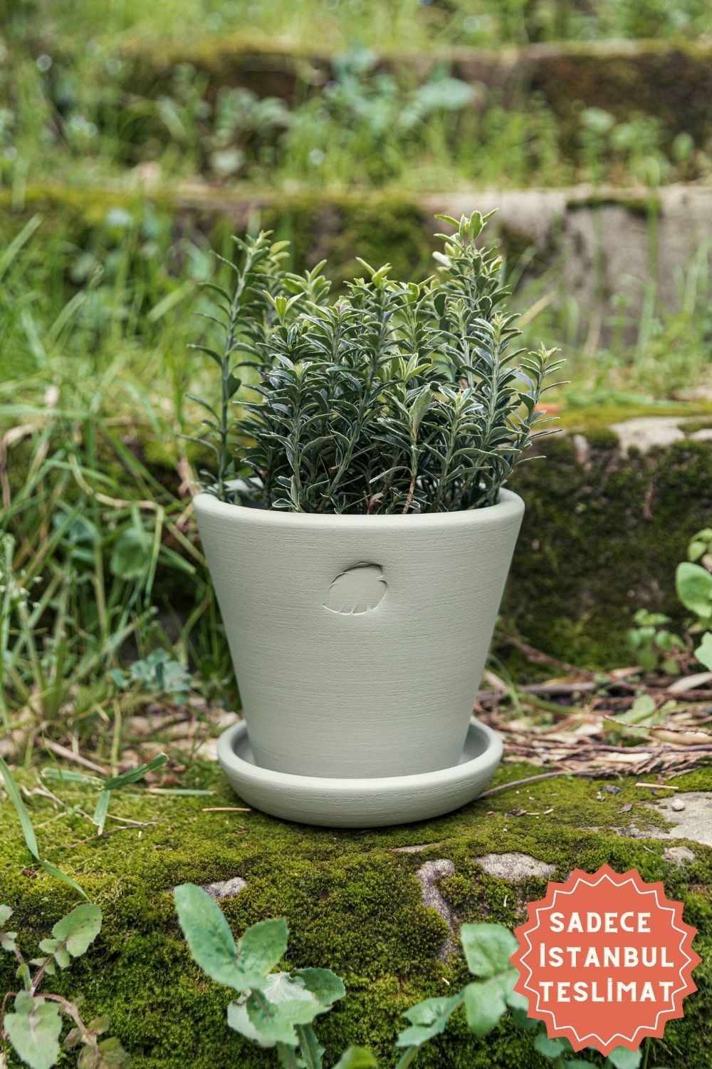 Jungleous-Mint Saksı 17 cm (Tabaklı)-Saksı-1-Milagron.com