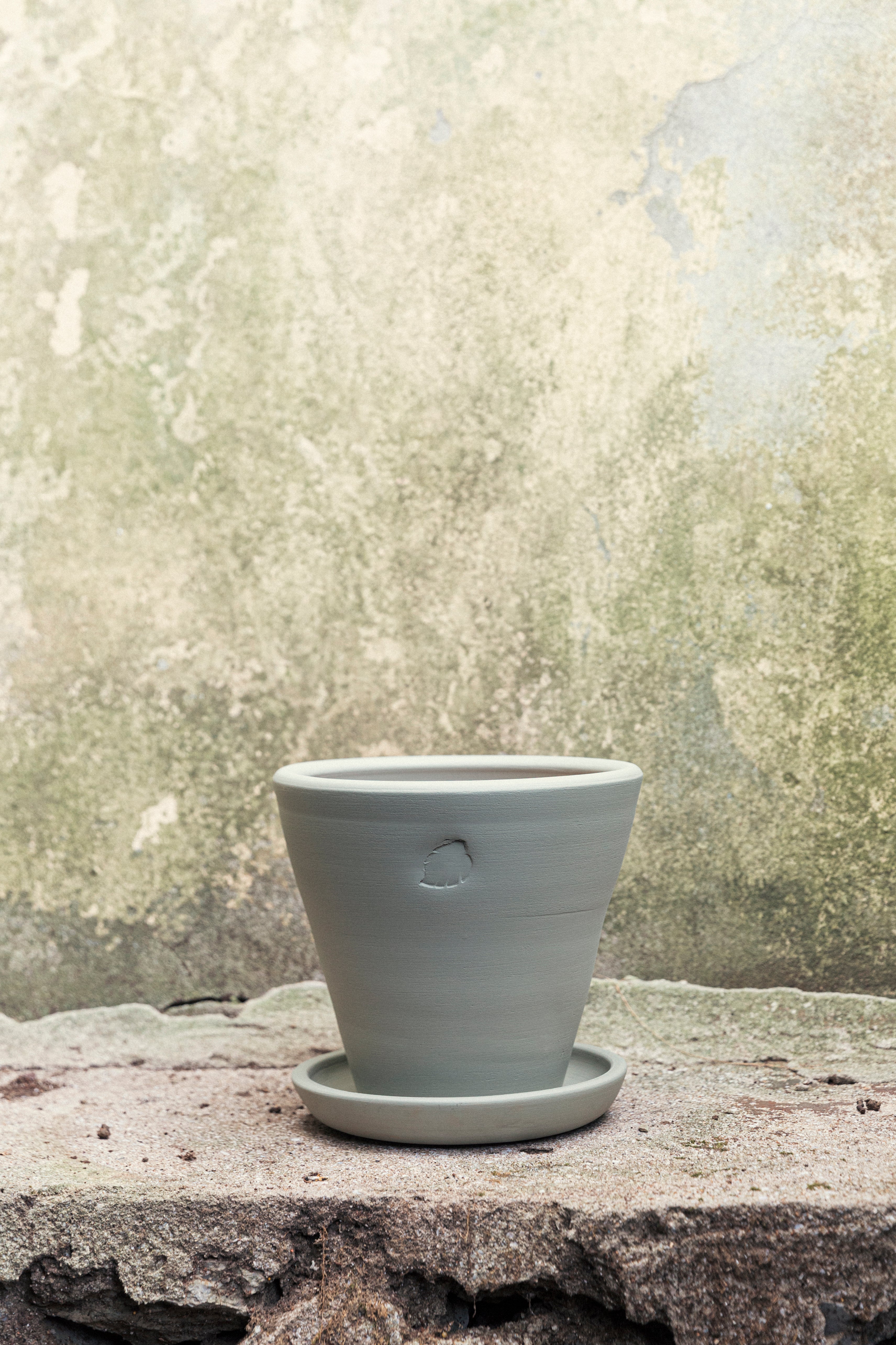 Jungleous-Mint Saksı 22 cm (Tabaklı)-Saksı-3-Milagron.com