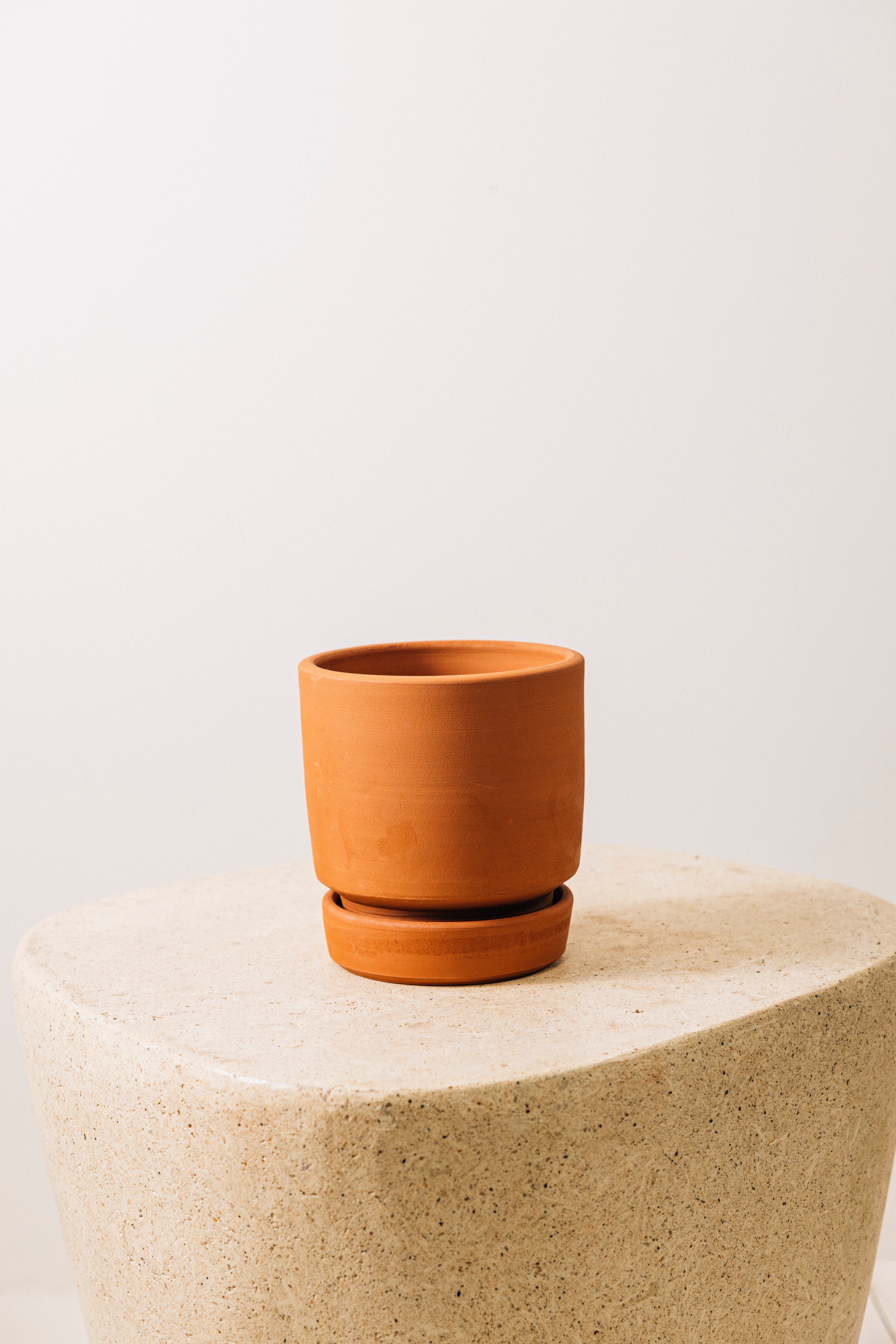 Jungleous-Otto Saksı 17 cm Clay-Saksı-3-Milagron.com