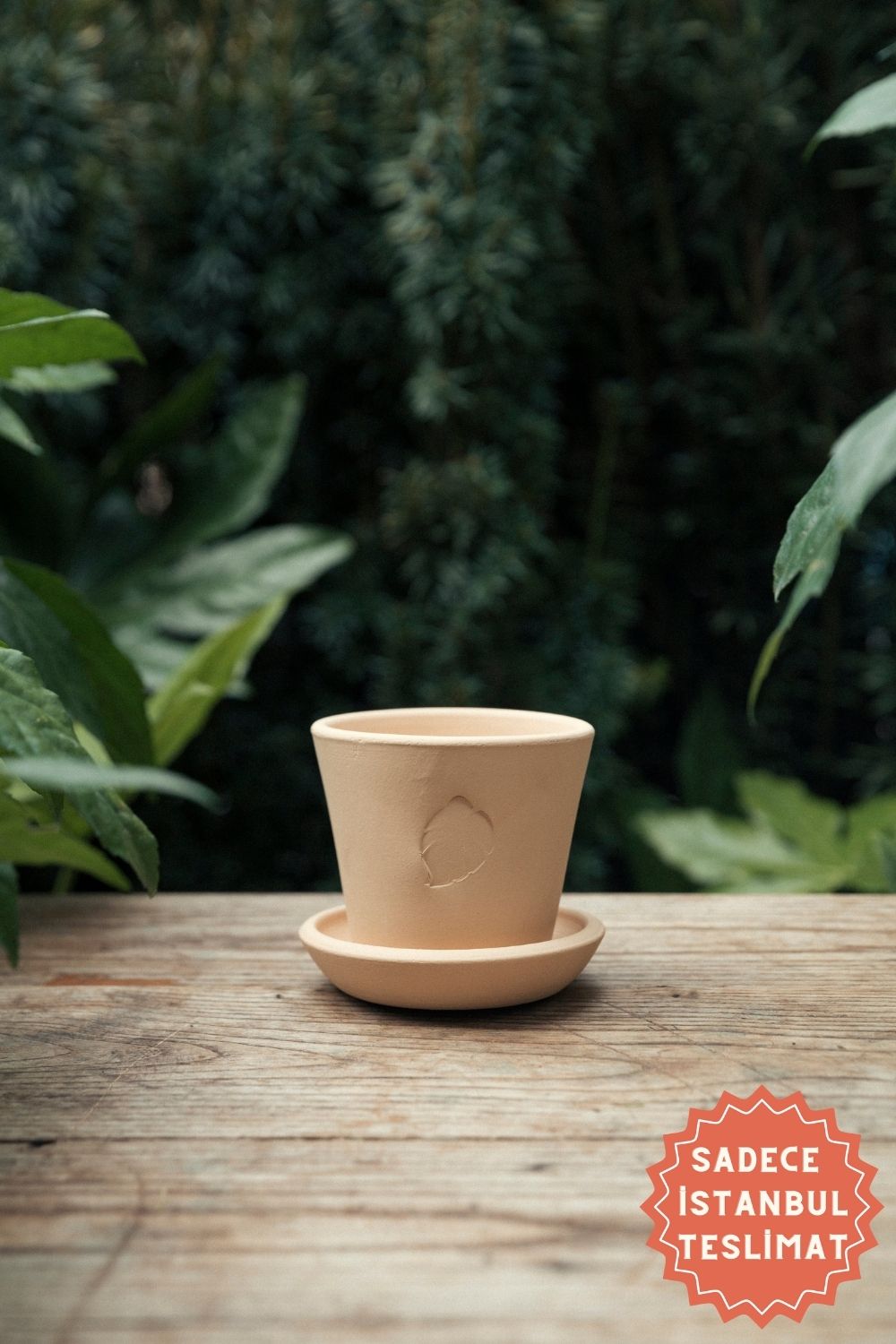 Jungleous-Sahara Saksı 10 cm (Tabaklı)-Saksı-1-Milagron.com