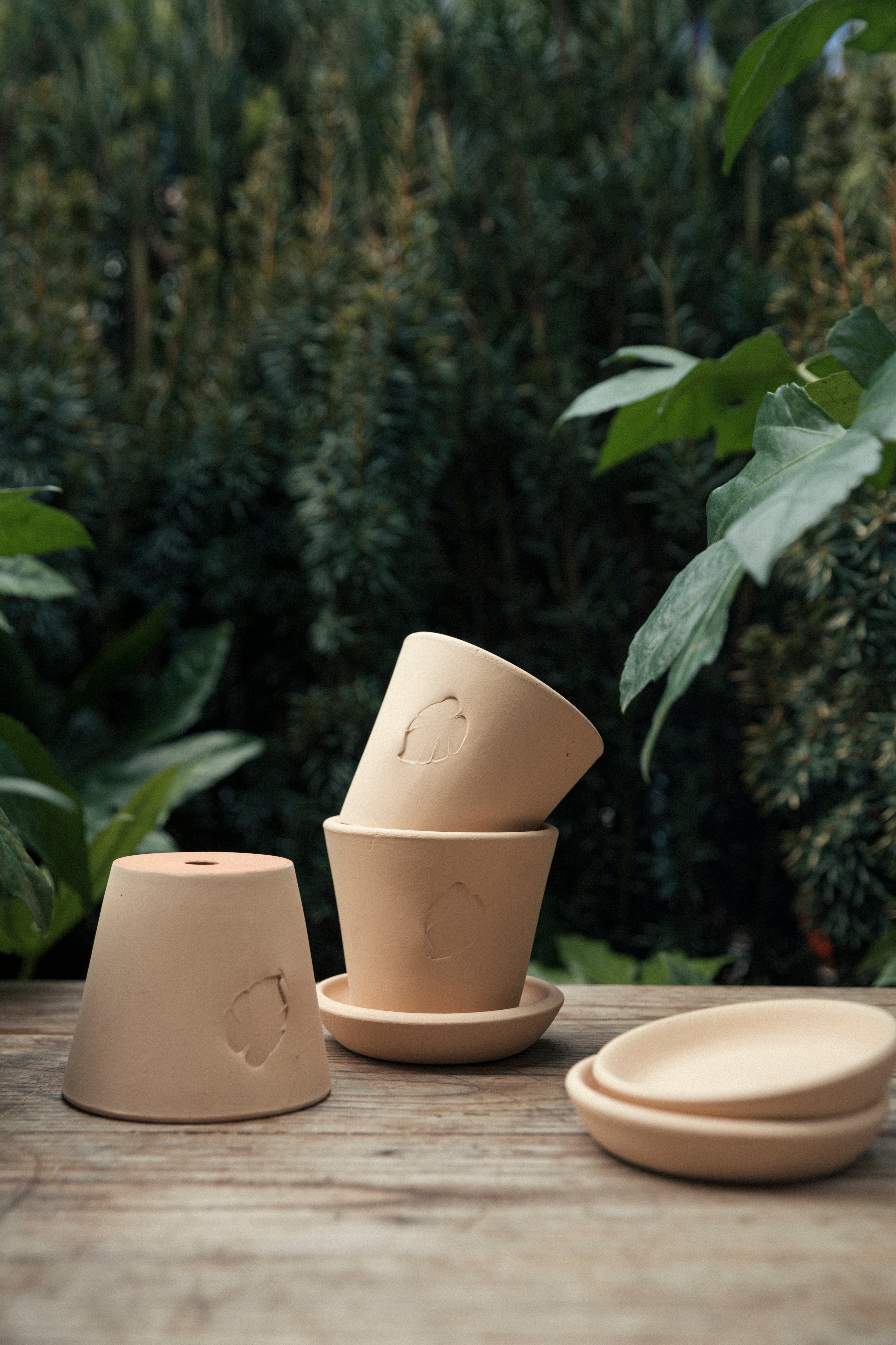 Jungleous-Sahara Saksı 10 cm (Tabaklı)-Saksı-3-Milagron.com