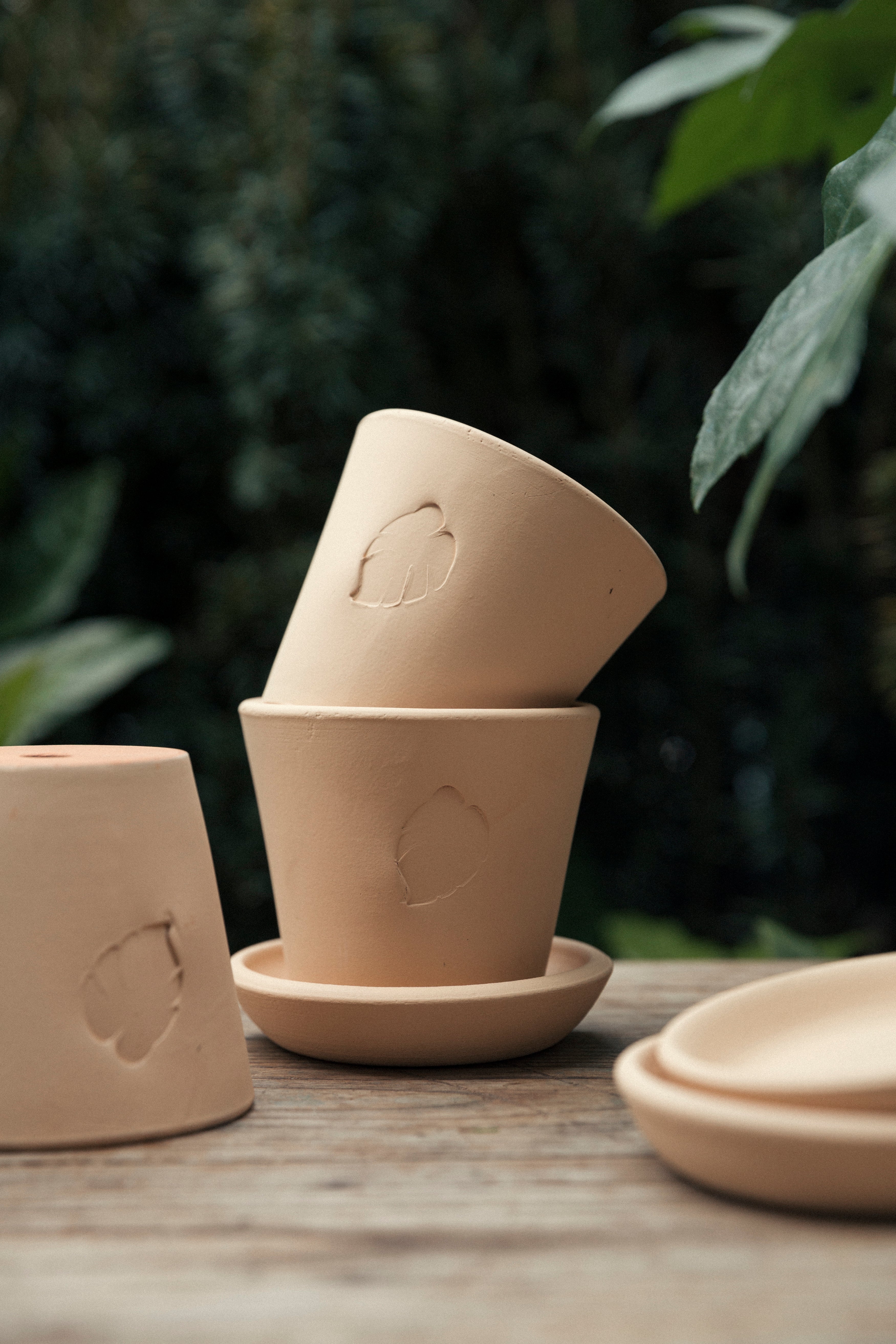 Jungleous-Sahara Saksı 10 cm (Tabaklı)-Saksı-4-Milagron.com