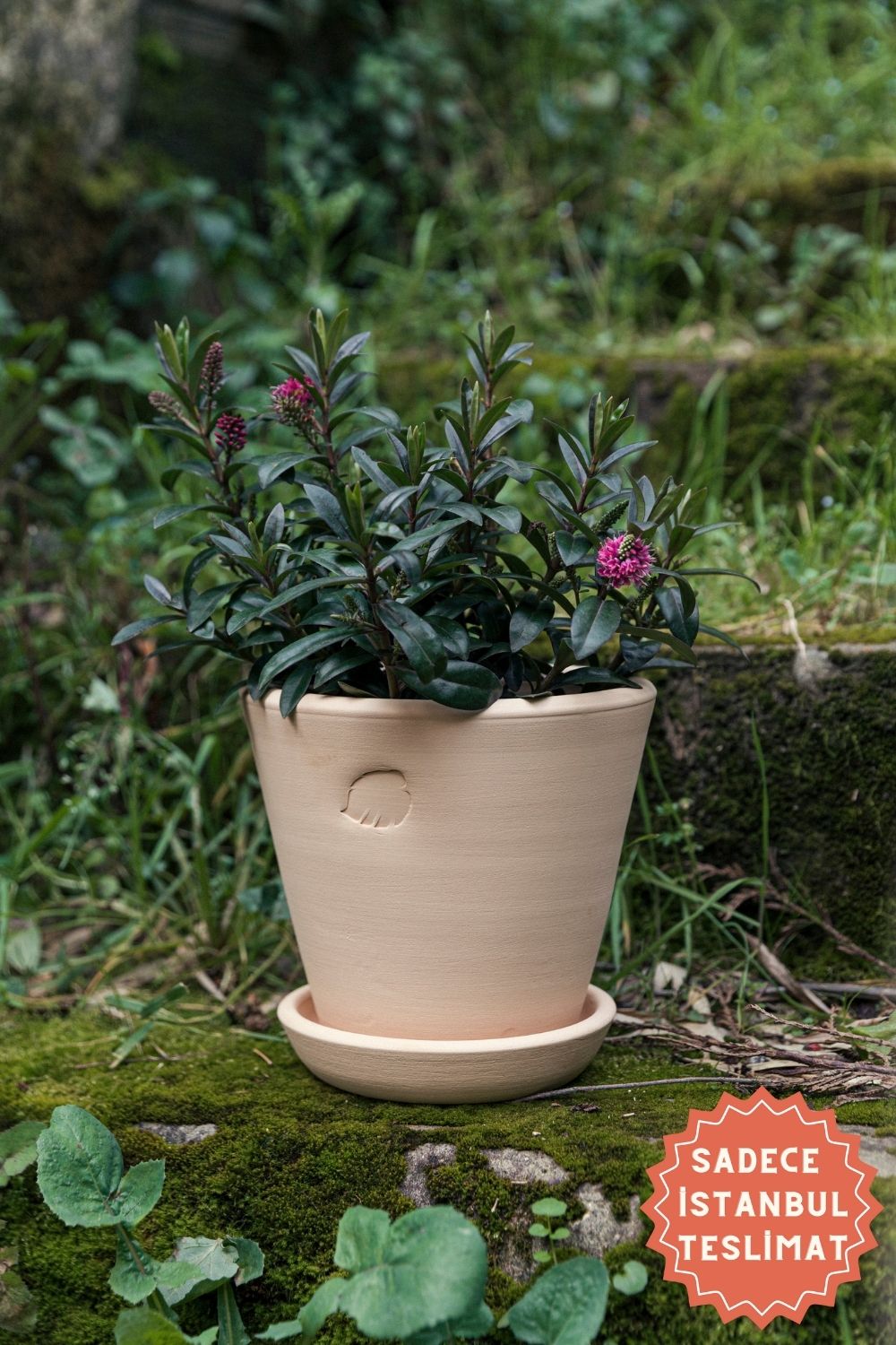 Jungleous-Sahara Saksı 17 cm (Tabaklı)-Saksı-1-Milagron.com