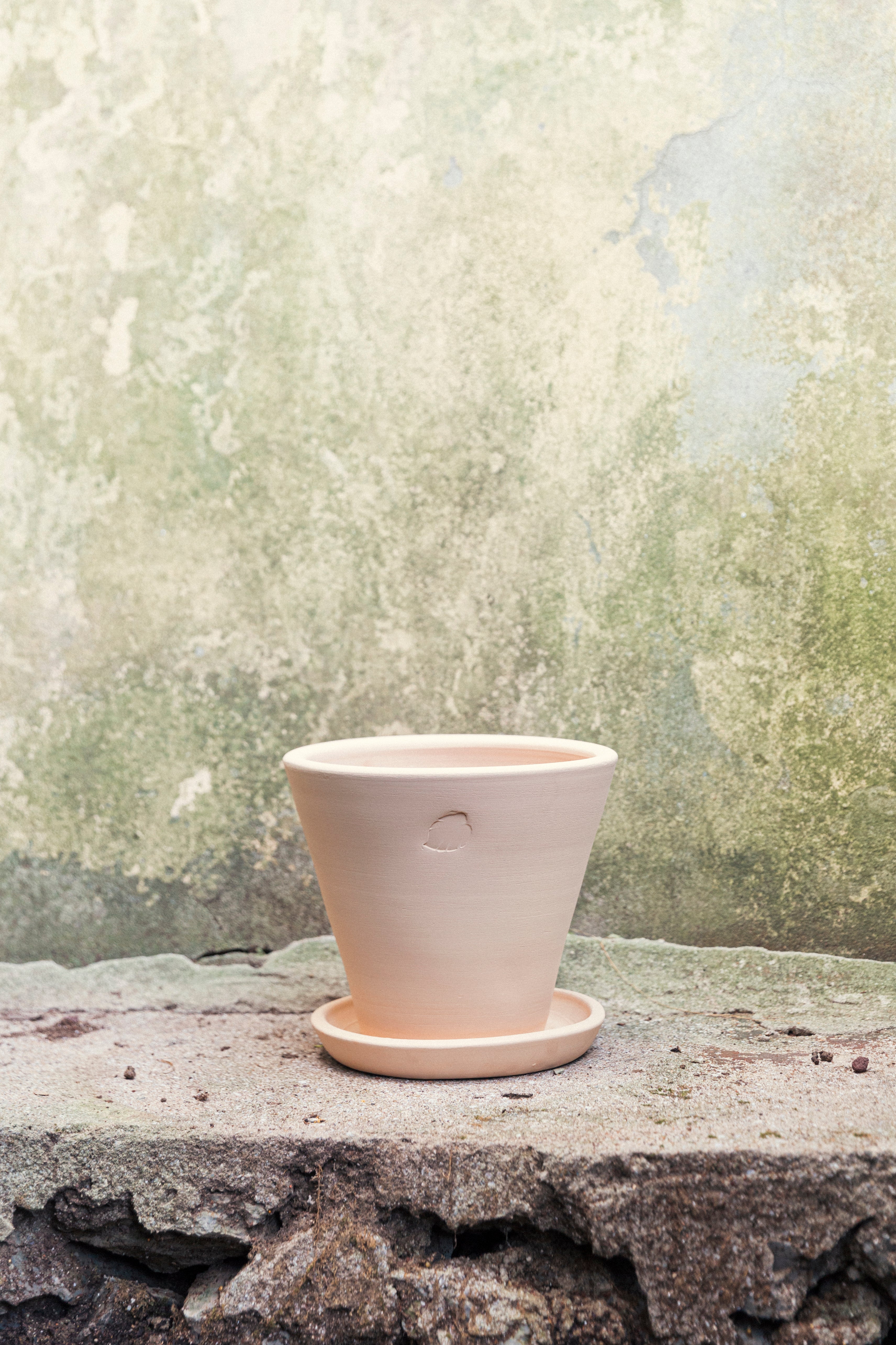 Jungleous-Sahara Saksı 22 cm (Tabaklı)-Saksı-3-Milagron.com