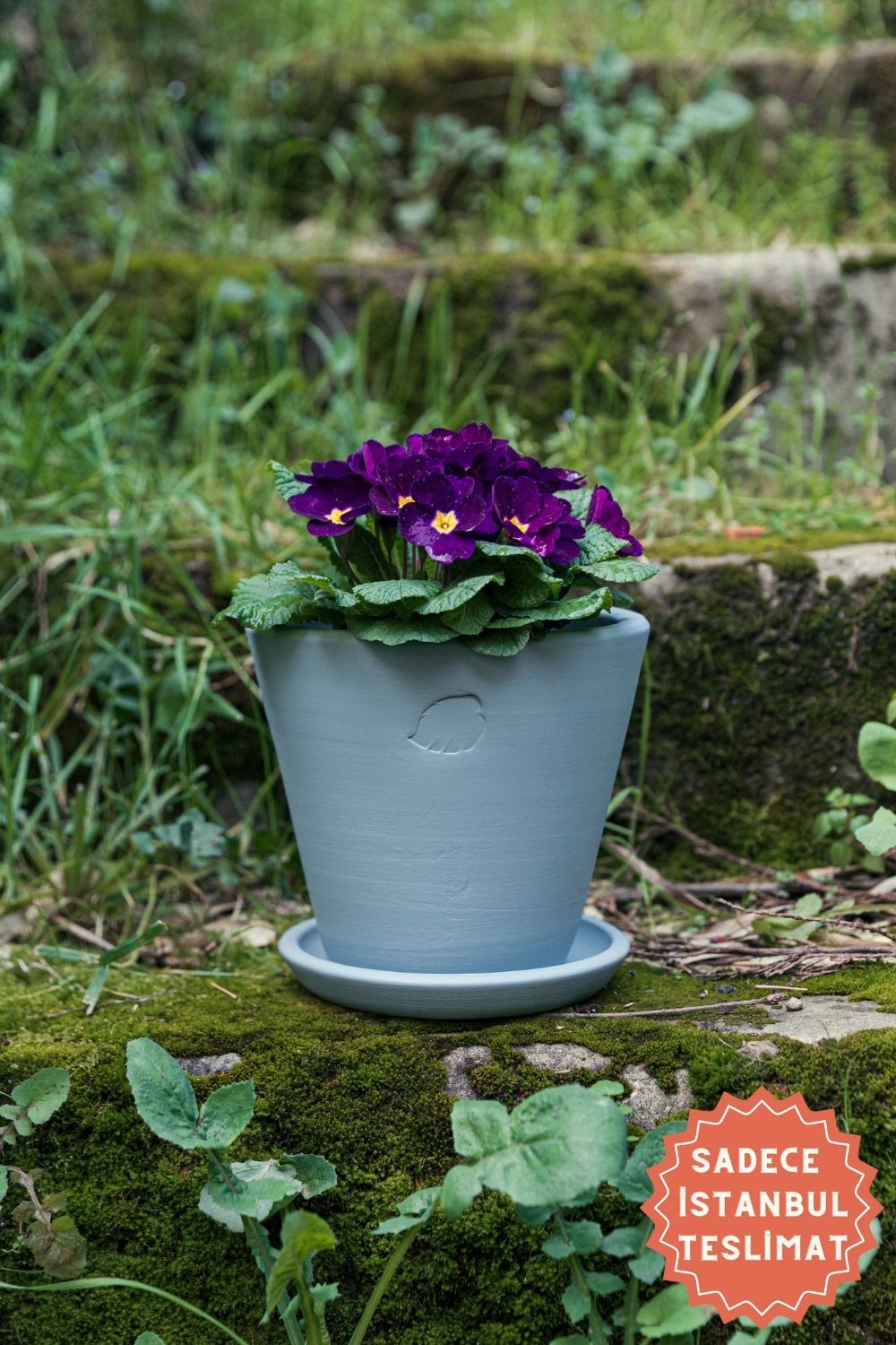 Jungleous-Sky Saksı 17 cm (Tabaklı)-Saksı-1-Milagron.com