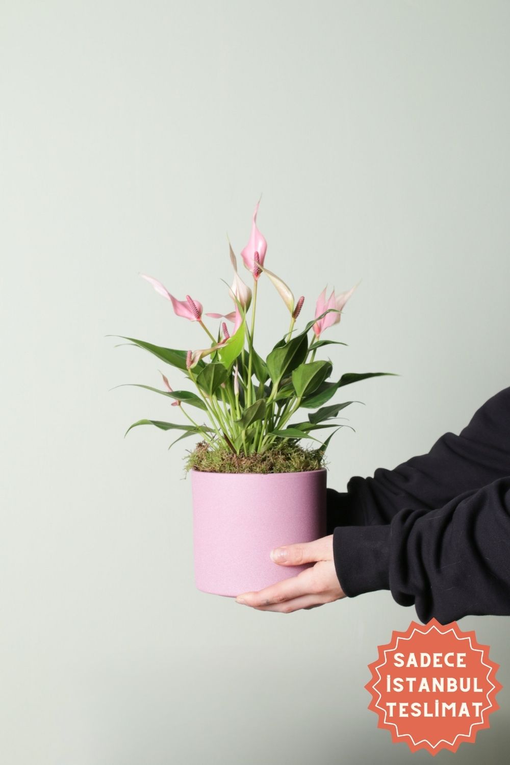 Jungleous-Tofu-Bitki-1-Milagron.com