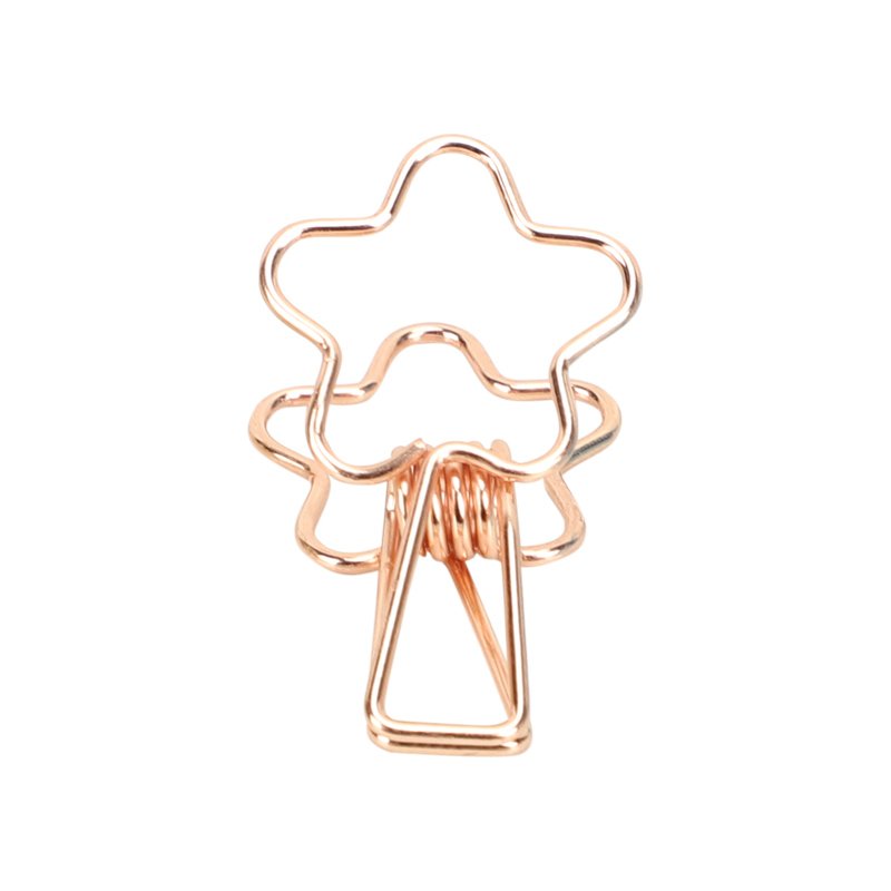 Kayigo-Tiny Paslanmaz çelik çiçek Klips Altılı Rose-Ataş-1-Milagron.com