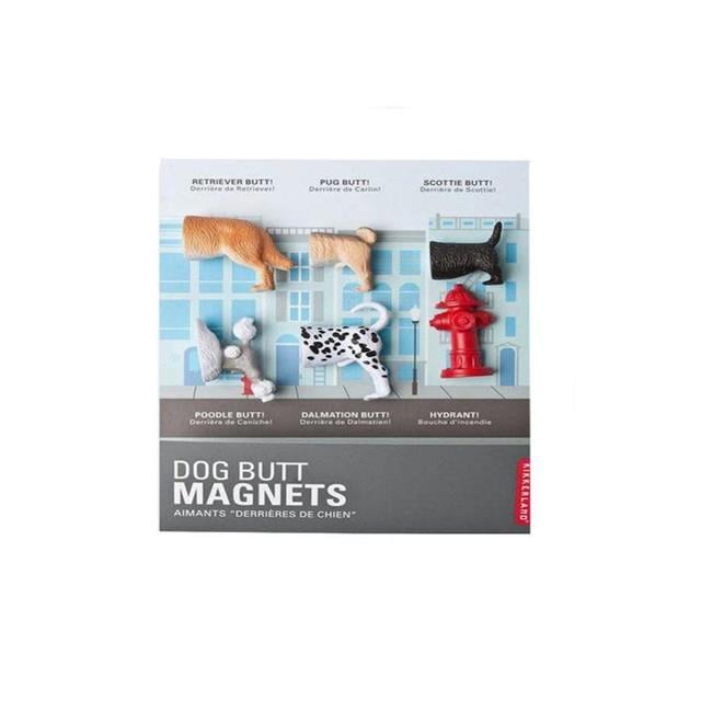 Kikkerland-Kikkerland Köpek Magnet-Magnet-2-Milagron.com