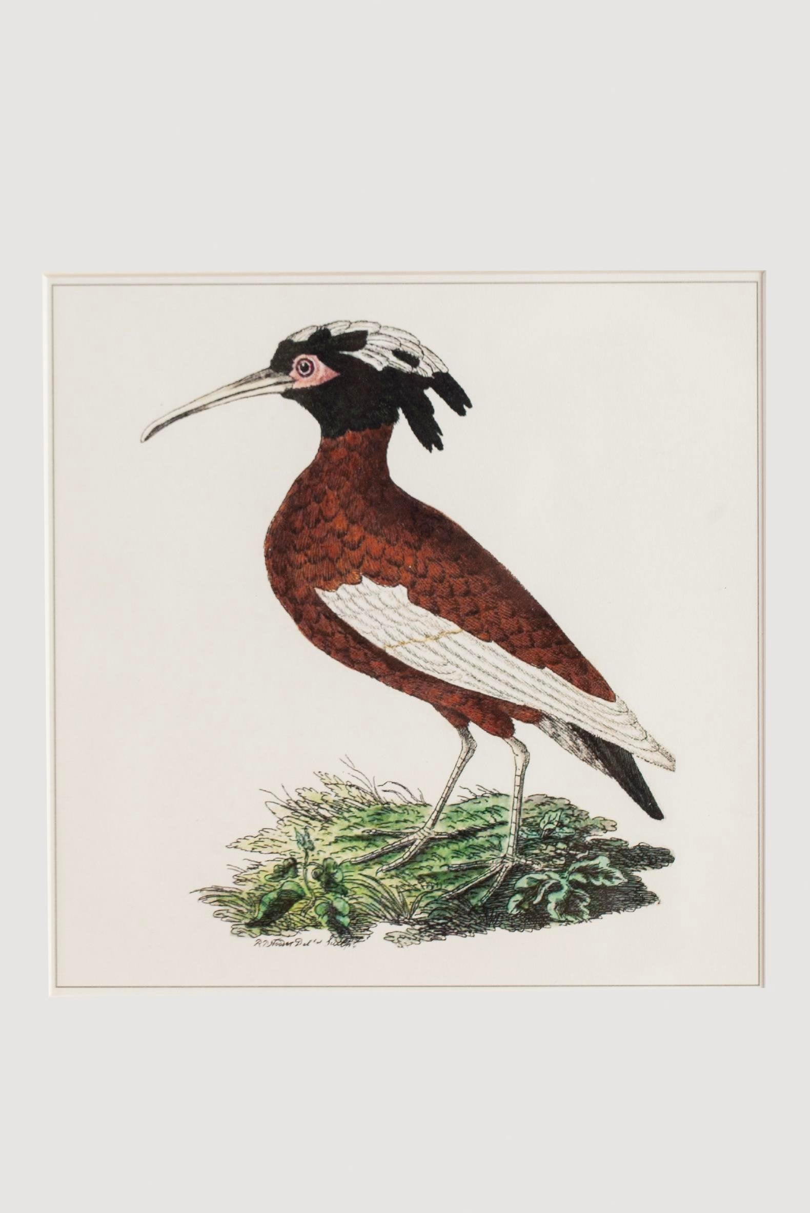 Lasttouch-Bi̇rd Serisi Tablo No: 1-Tablo-2-Milagron.com