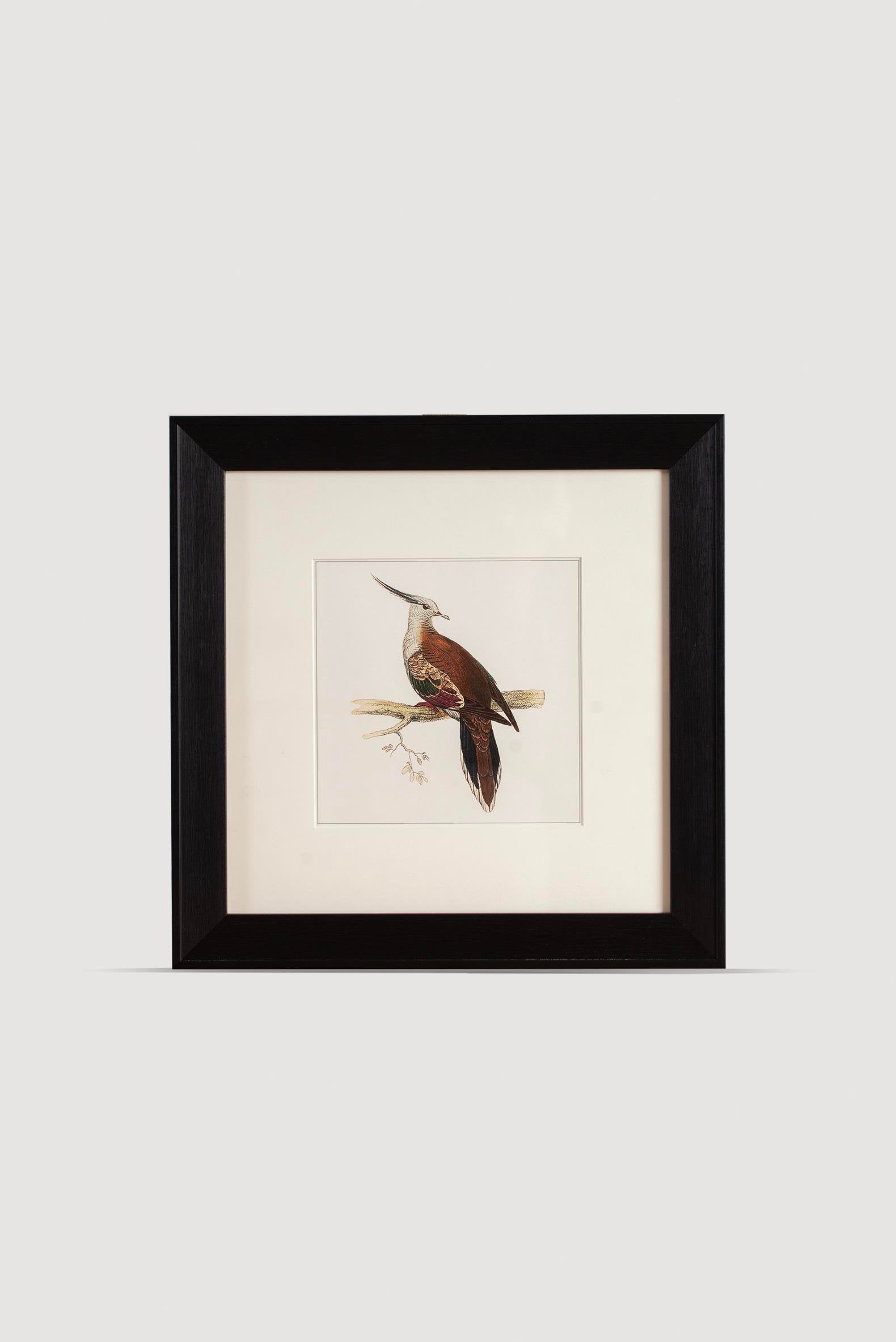 Lasttouch-Bi̇rd Serisi Tablo No: 3-Tablo-1-Milagron.com