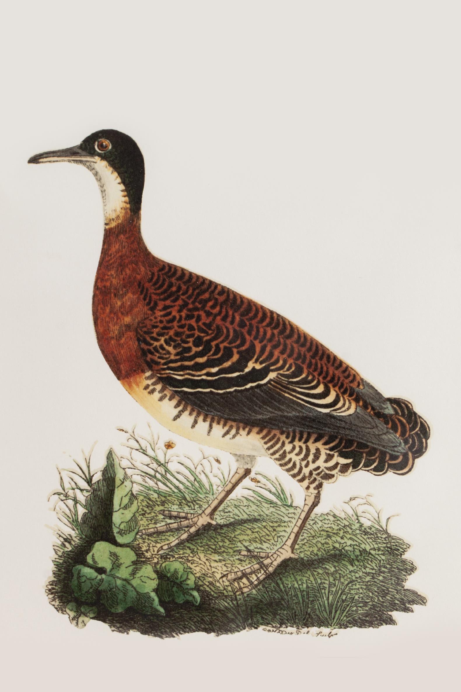 Lasttouch-Bi̇rd Serisi Tablo No: 4-Tablo-2-Milagron.com