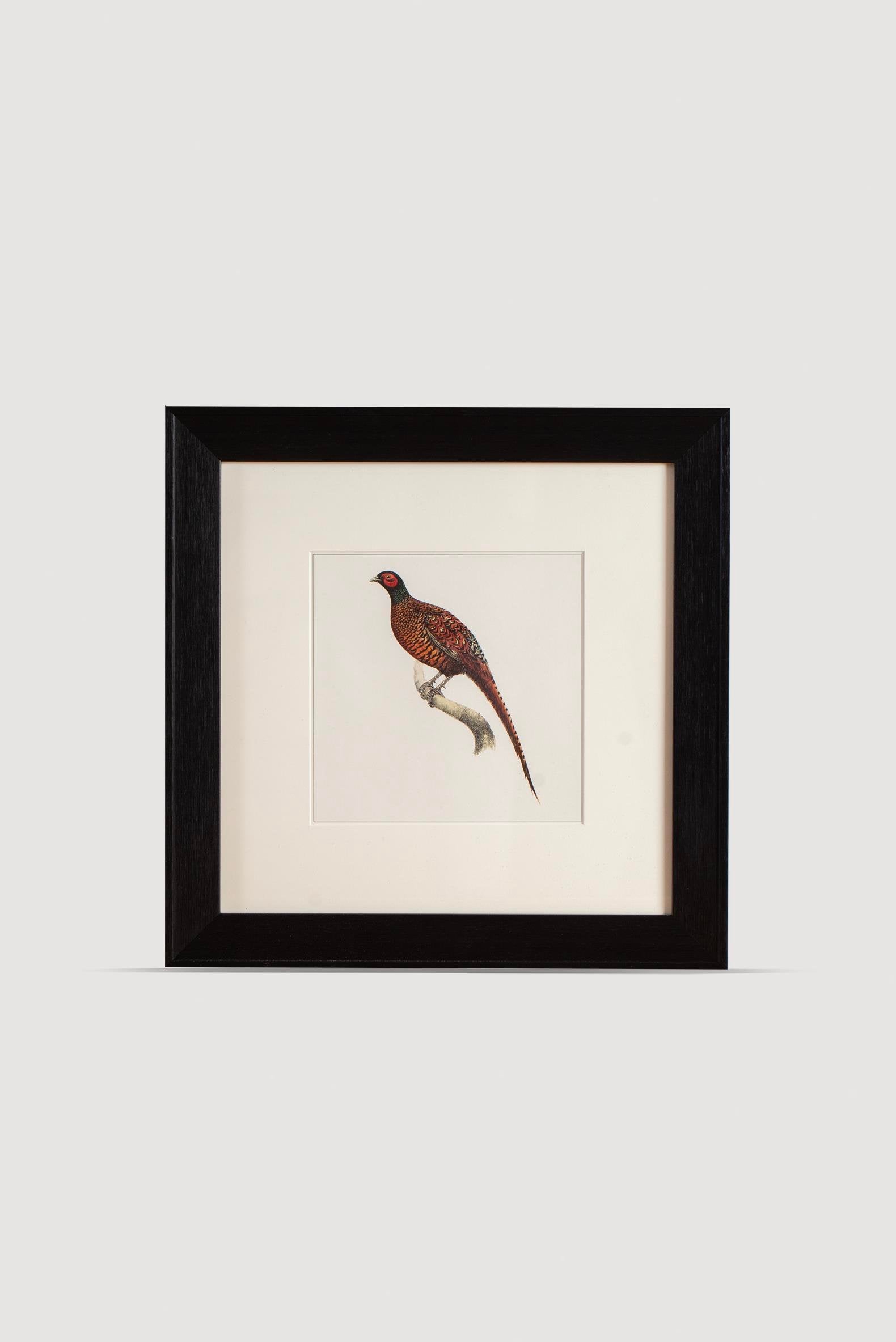 Lasttouch-Bi̇rd Serisi Tablo No: 5-Tablo-1-Milagron.com