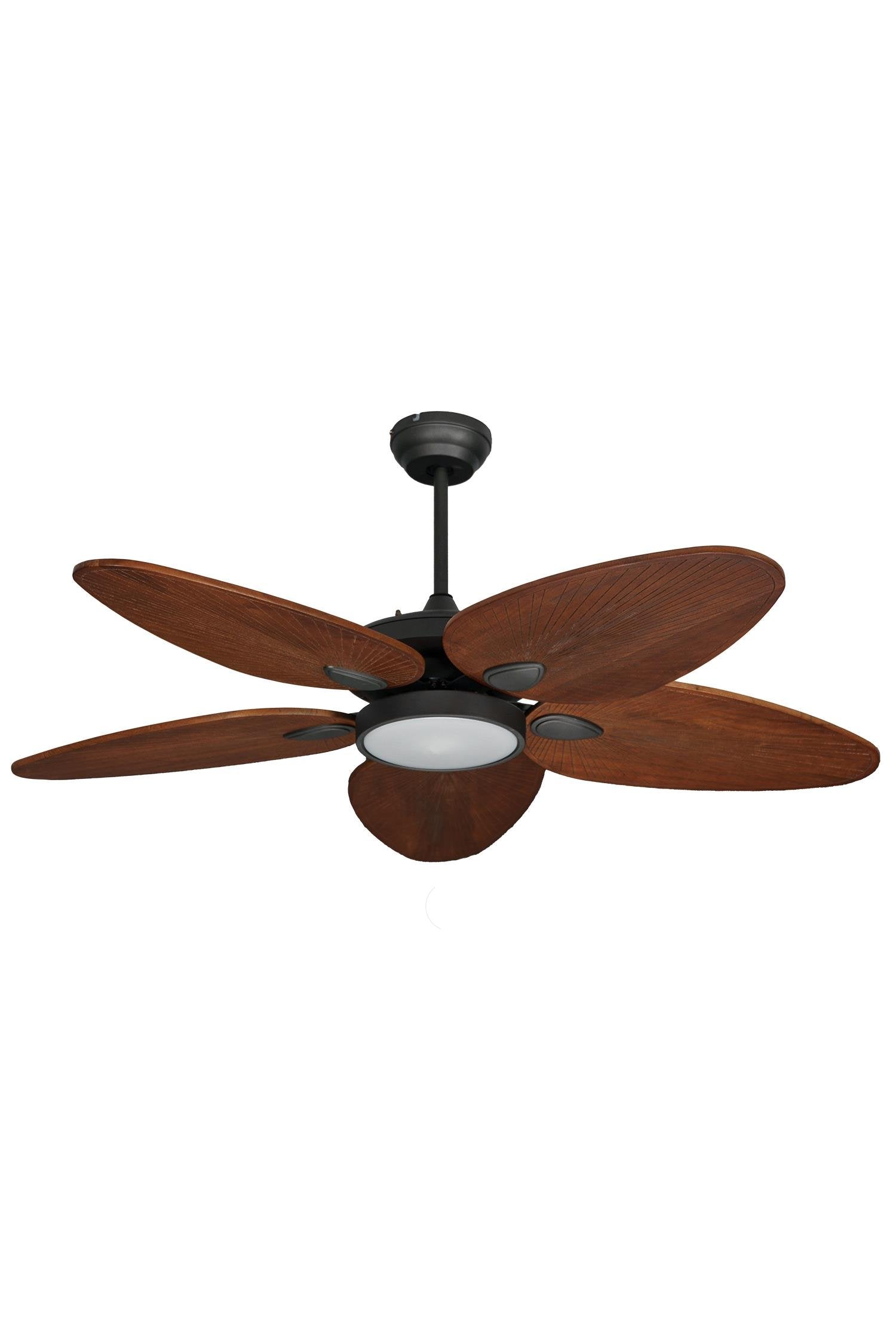 Lasttouch-Cyclone Aydınlatma Tavan Vantilatörü-Aydınlatmalı Tavan Vantilatörleri-1-Milagron.com