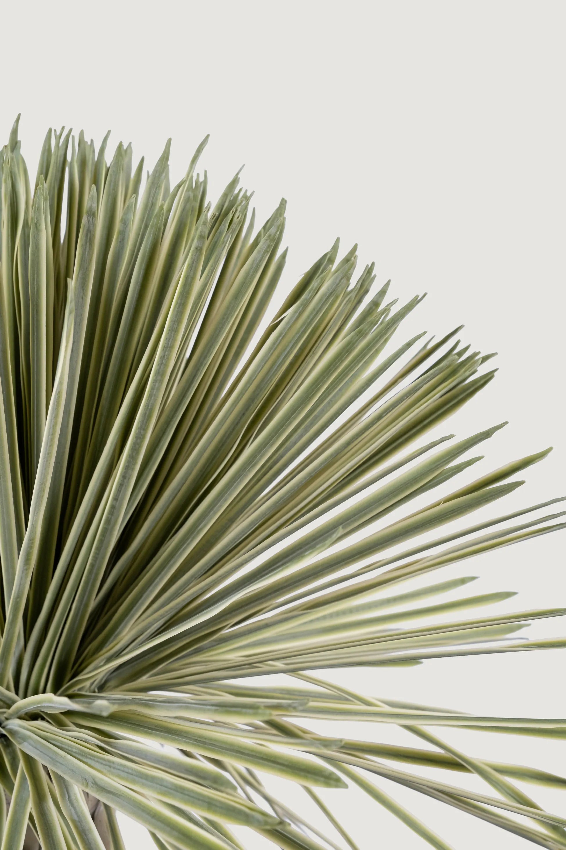 Lasttouch-Dekoratif Çöl Bitkisi No:1-Yapay Bitki-2-Milagron.com