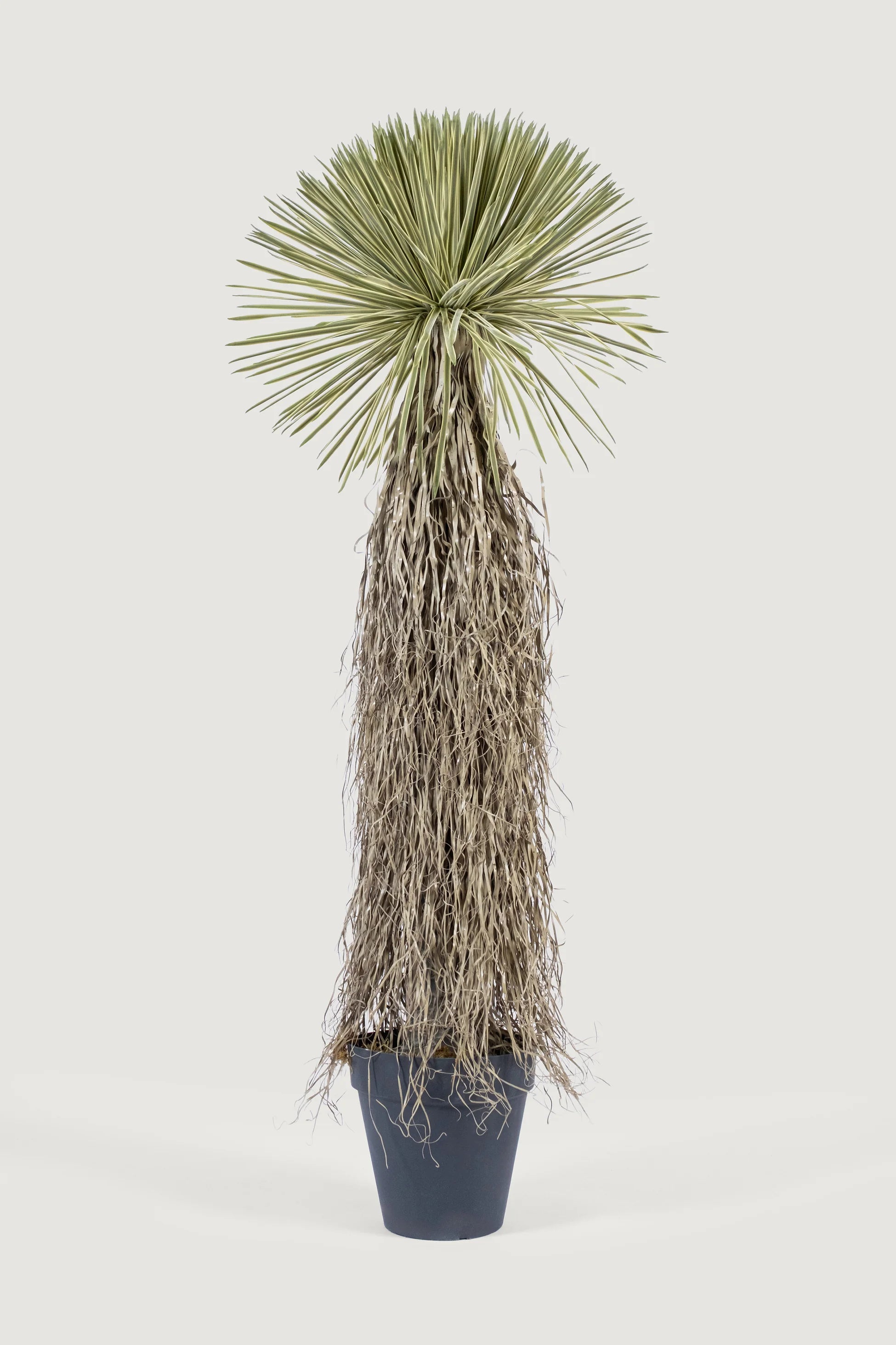 Lasttouch-Dekoratif Yapay Bitki No:11-Yapay Bitki-1-Milagron.com