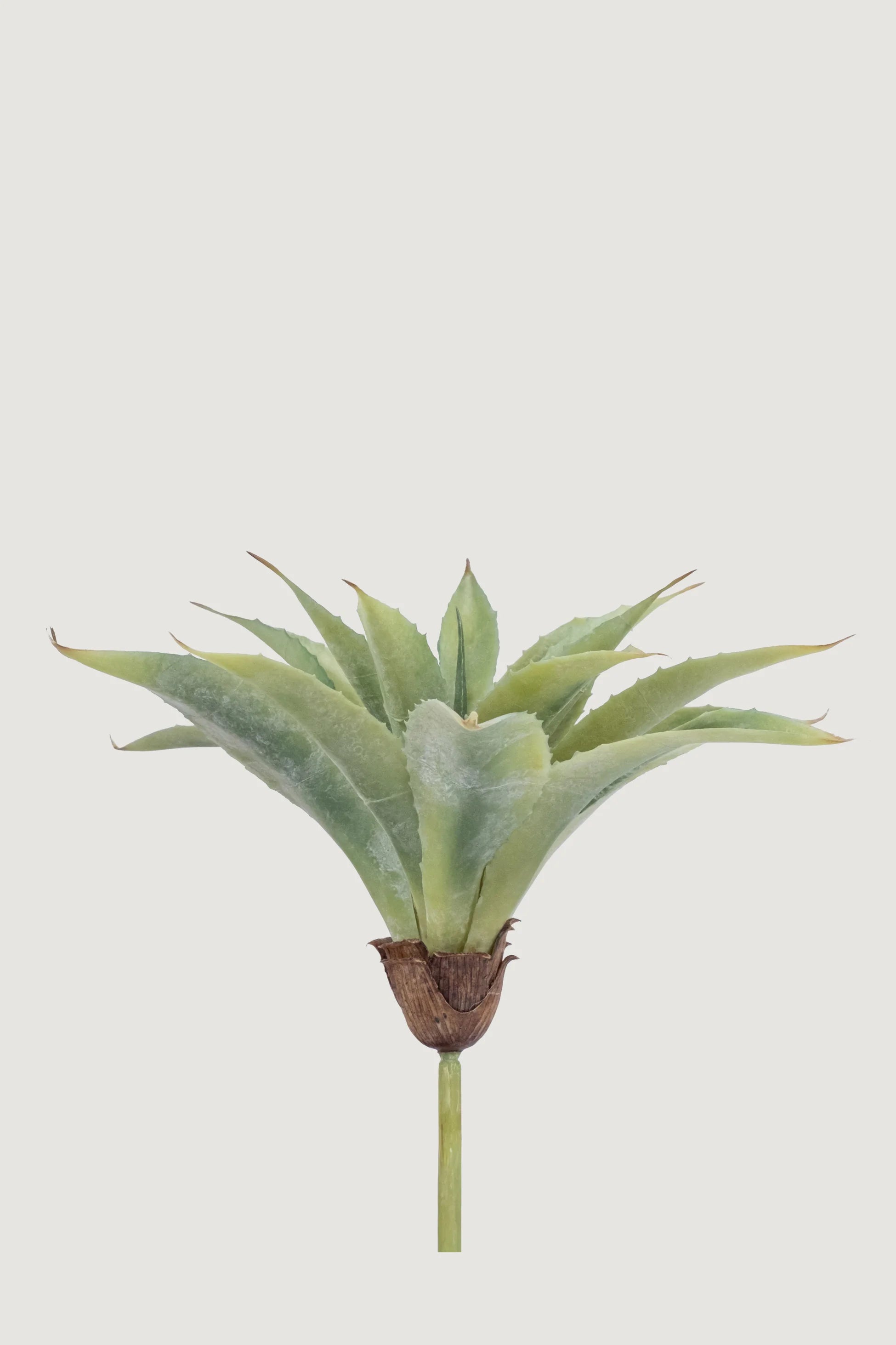 Lasttouch-Dekoratif Yapay Bitki No:2-Yapay Bitki-1-Milagron.com