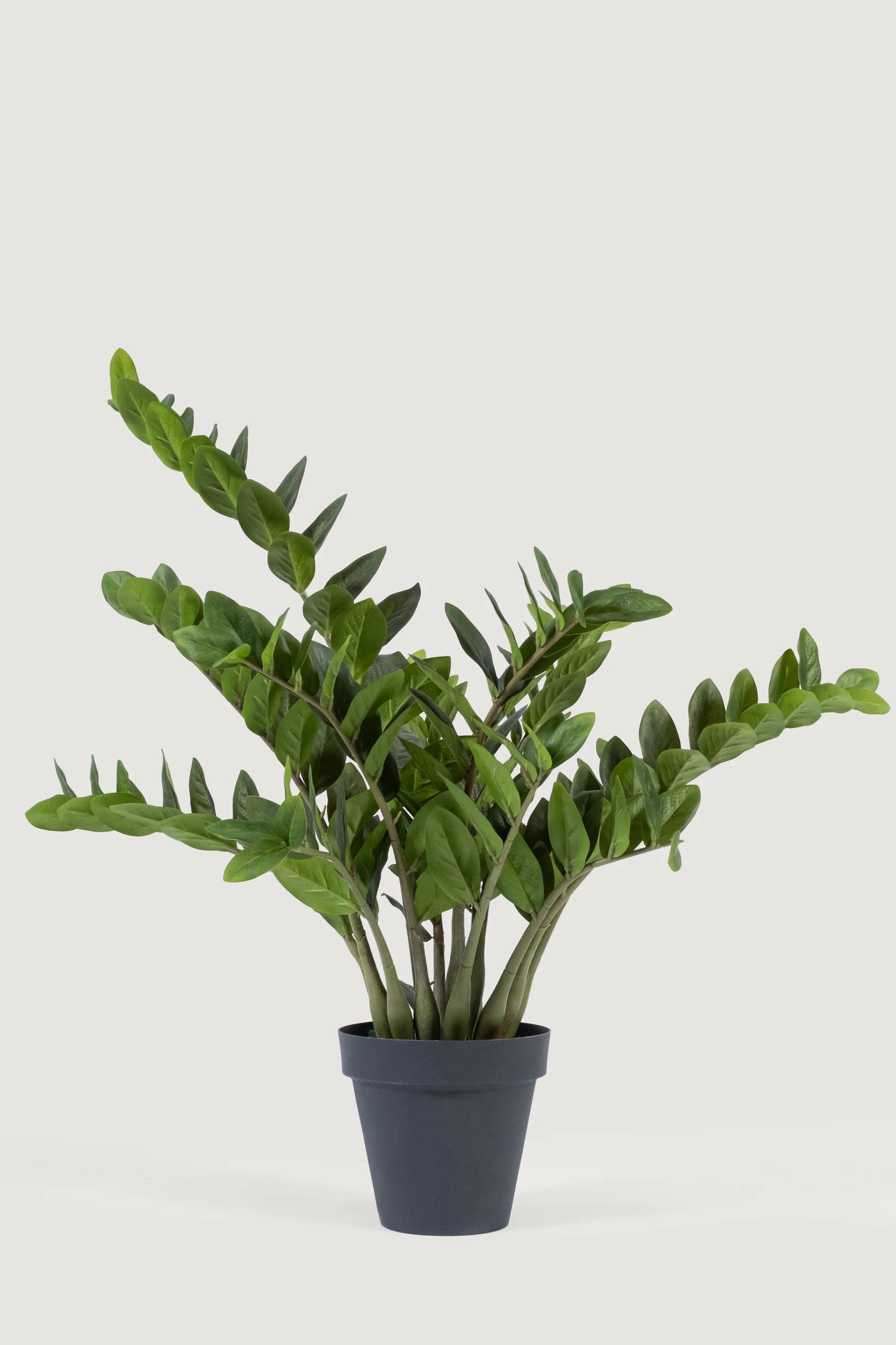 Lasttouch-Dekoratif Yapay Bitki No:5-Yapay Bitki-1-Milagron.com