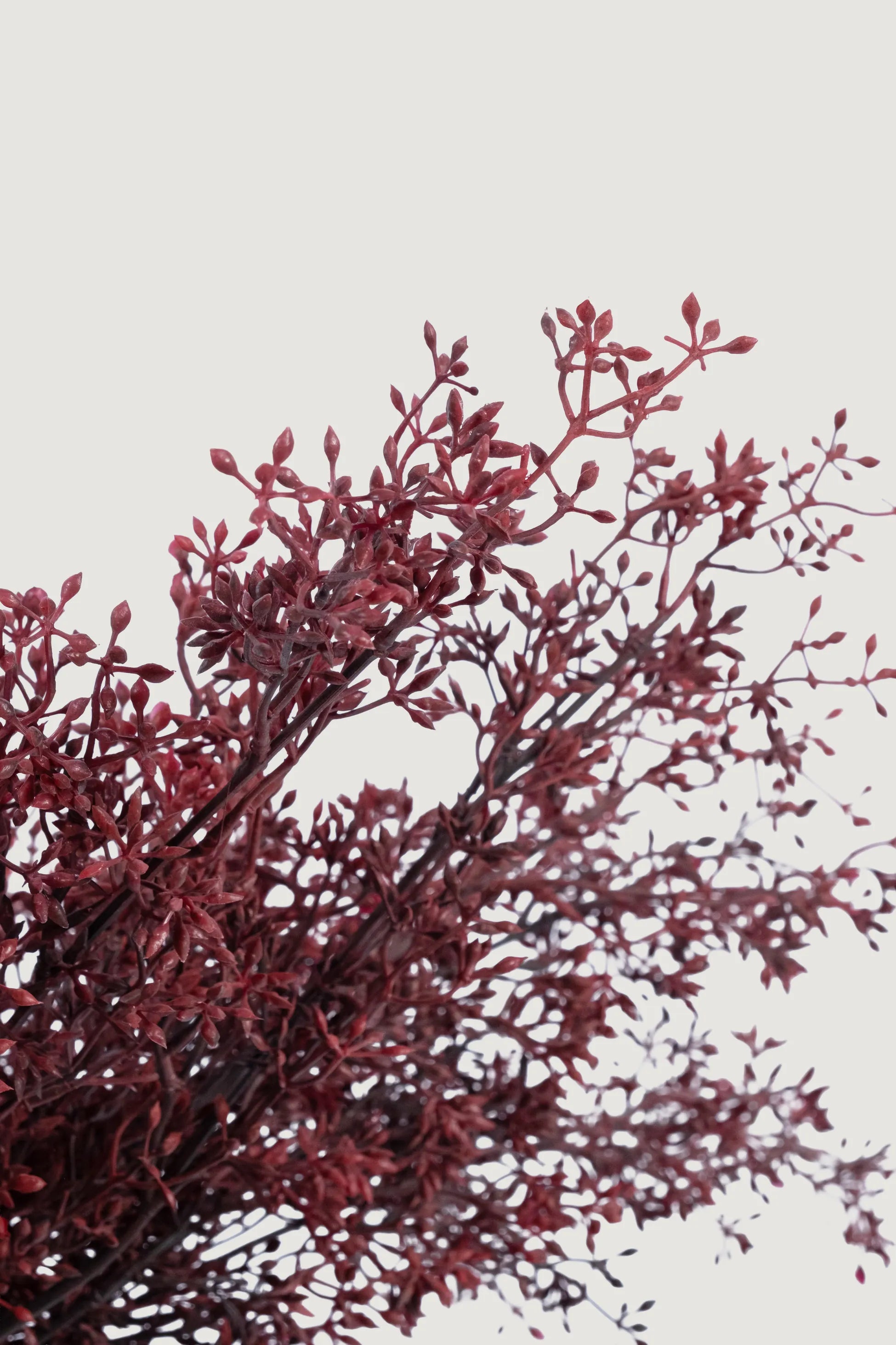 Lasttouch-Dekoratif Yapay Bitki No:7-Yapay Bitki-2-Milagron.com