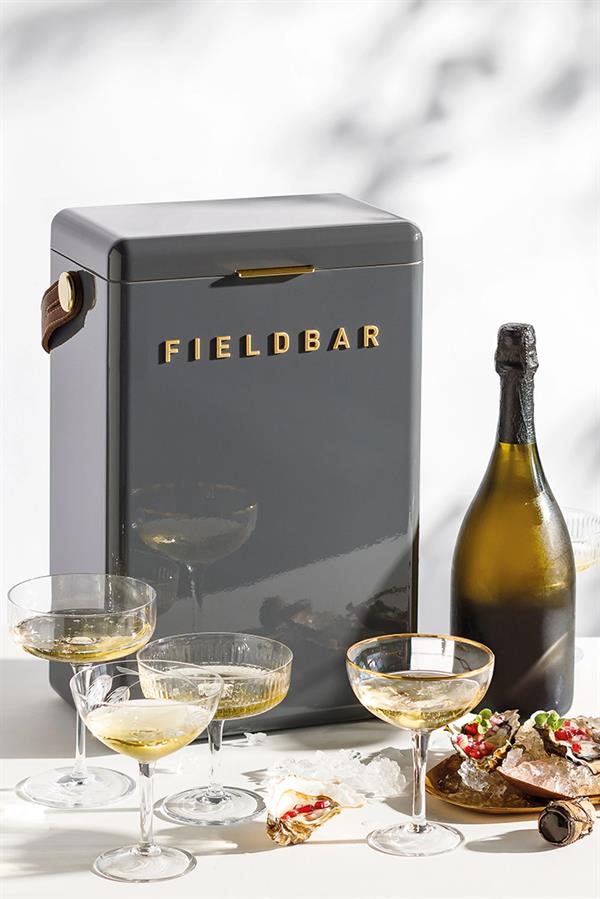 Lasttouch-Fieldbar Gri̇-FIELDBAR-4-Milagron.com