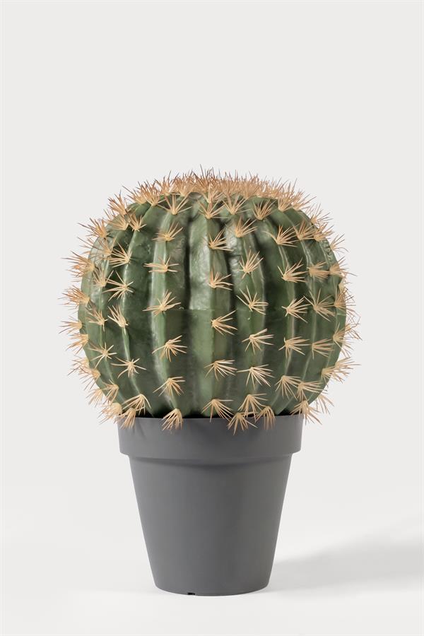 Lasttouch-Kaktüs Set-Yapay Bitki-3-Milagron.com