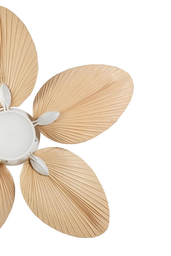 Lasttouch-Lora Beyaz Aydınlatmalı Tavan Vantilatörü-Aydınlatmalı Tavan Vantilatörleri-3-Milagron.com