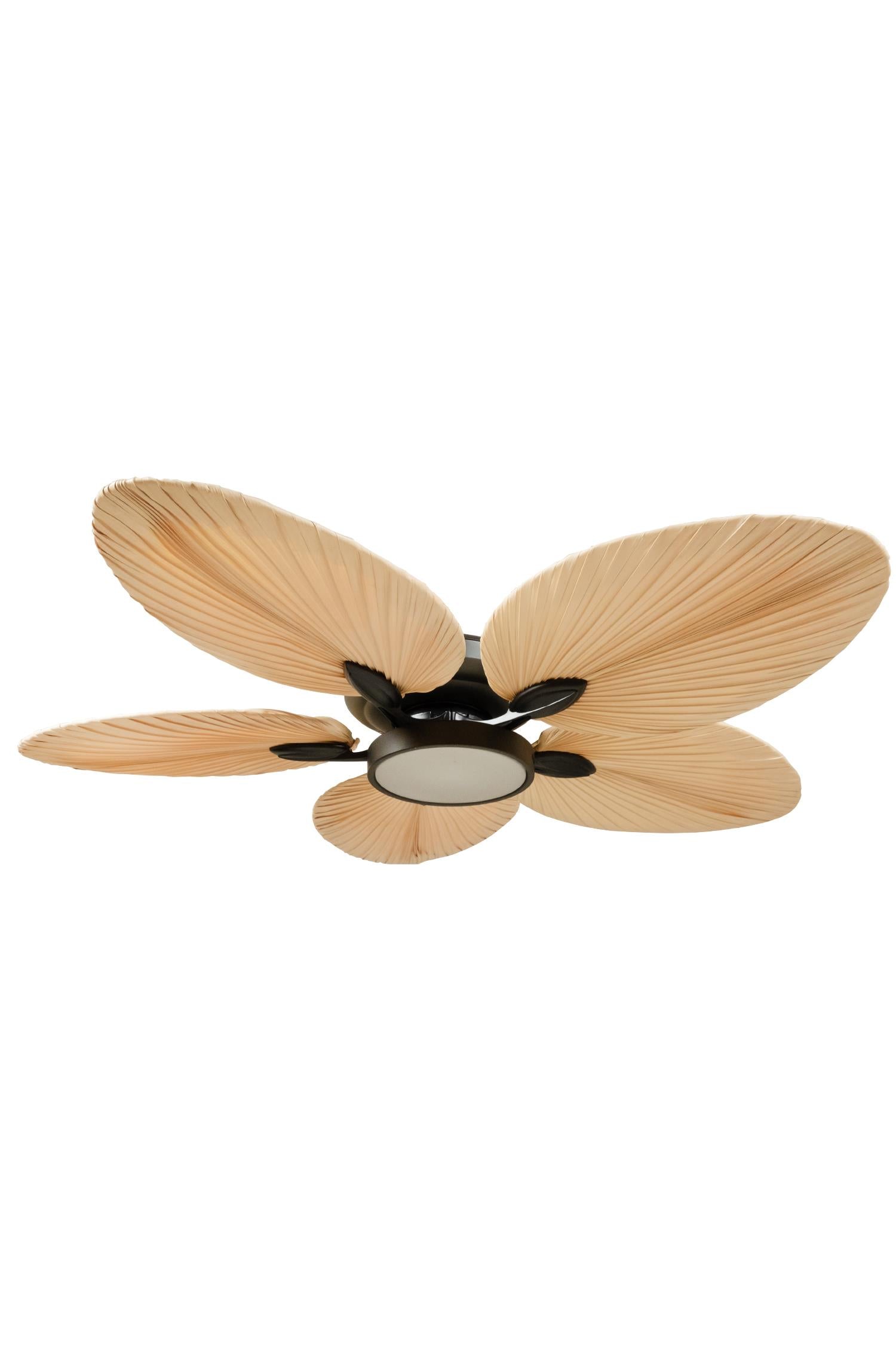 Lasttouch-Lora Siyah Aydınlatmalı Tavan Vantilatörü-Aydınlatmalı Tavan Vantilatörleri-2-Milagron.com