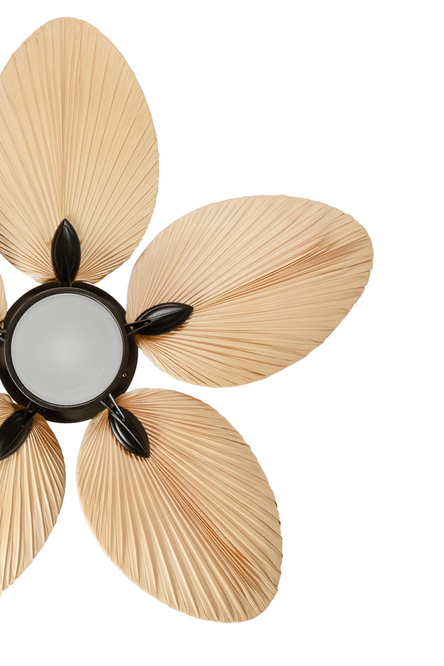 Lasttouch-Lora Siyah Aydınlatmalı Tavan Vantilatörü-Aydınlatmalı Tavan Vantilatörleri-3-Milagron.com