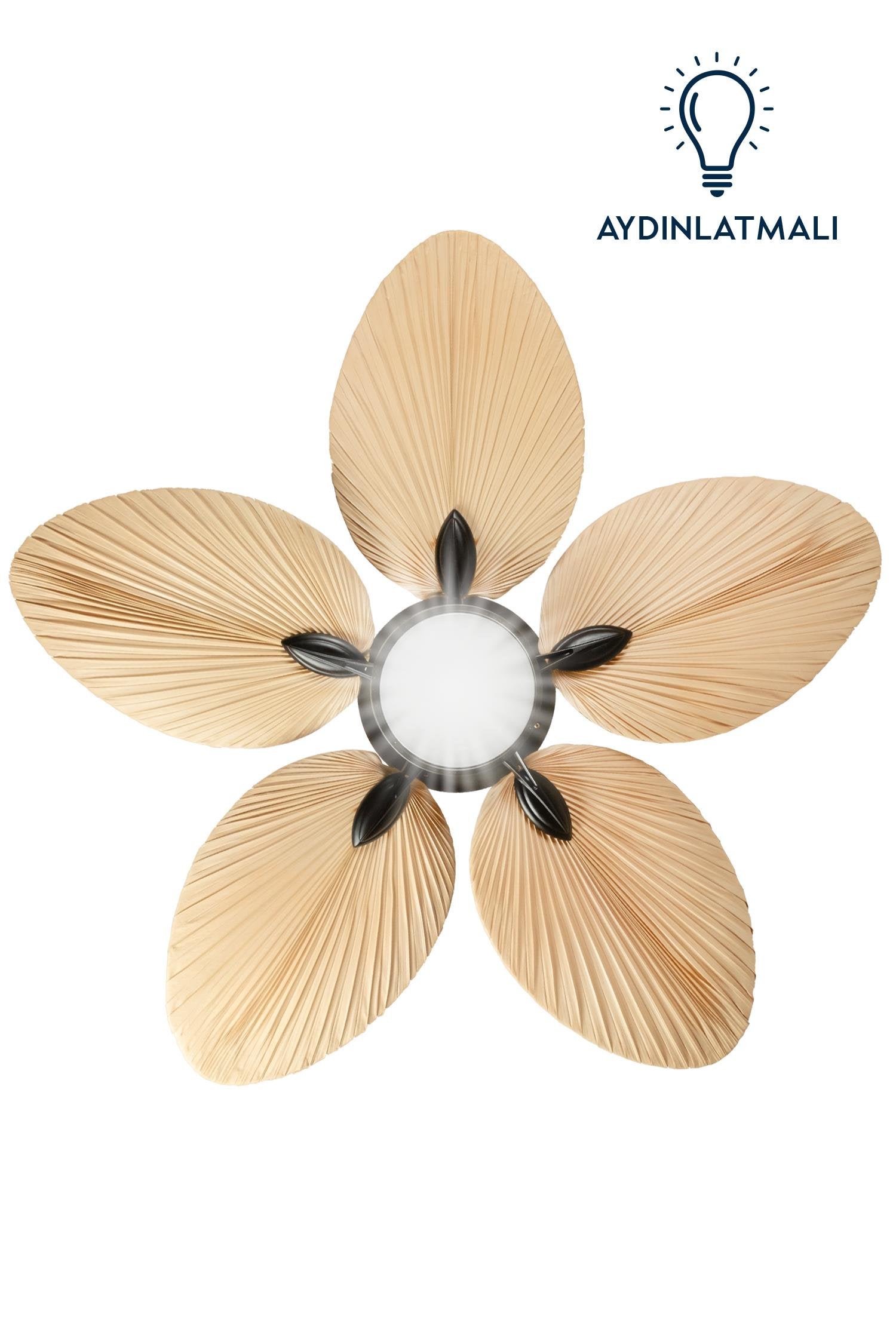 Lasttouch-Lora Siyah Aydınlatmalı Tavan Vantilatörü-Aydınlatmalı Tavan Vantilatörleri-4-Milagron.com