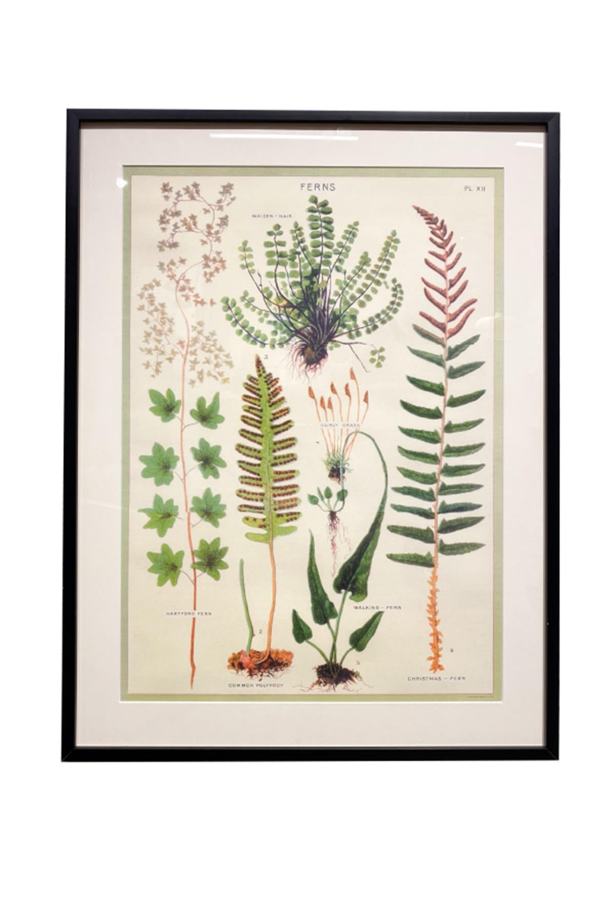 Lasttouch-No:38 Tablo-Tablo-1-Milagron.com