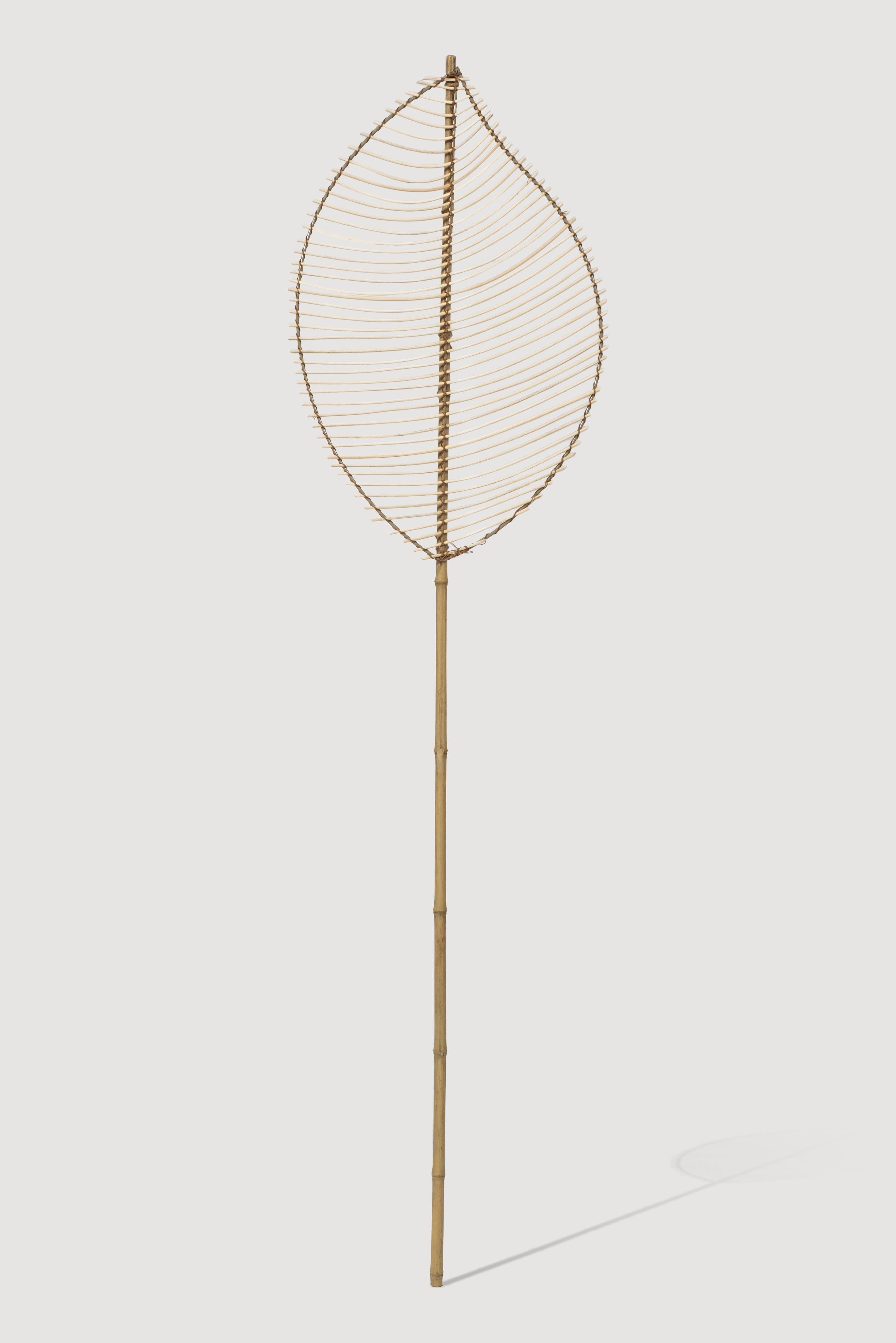 Lasttouch-Palme Dekoratif Yaprak-Bitki-1-Milagron.com