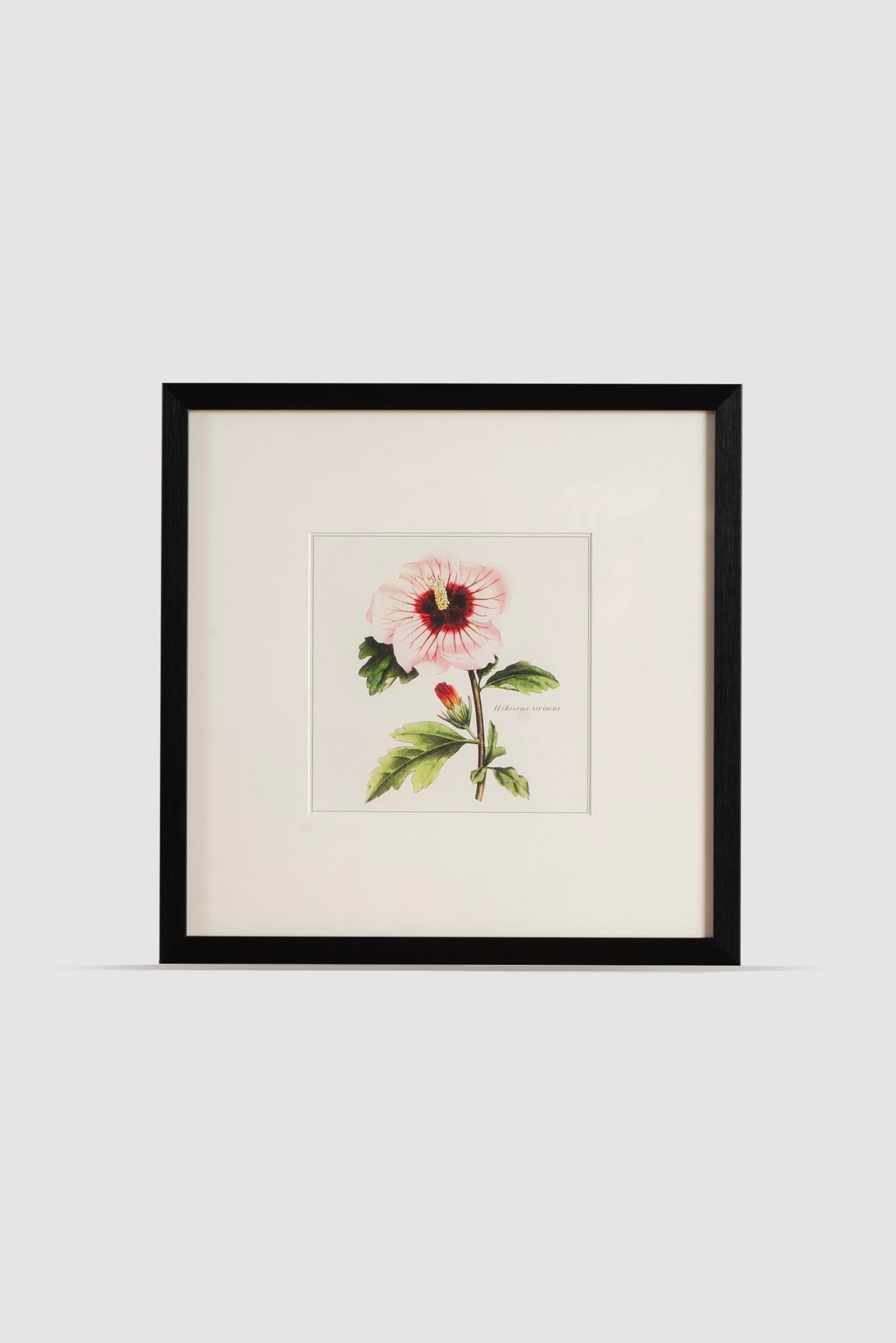 Lasttouch-Plant Serisi Tablo No:2-Tablo-1-Milagron.com