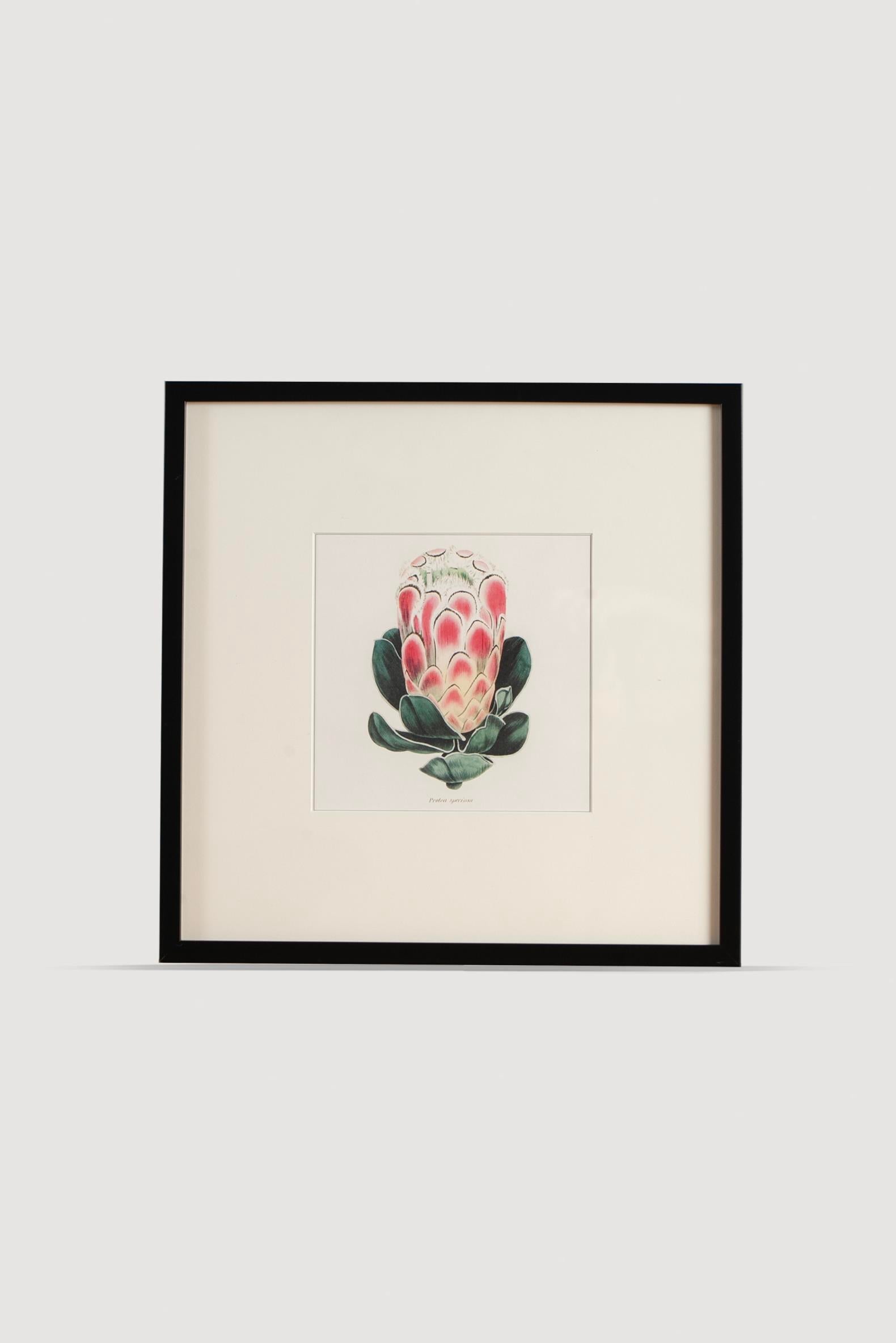 Lasttouch-Plant Serisi Tablo No:4-Tablo-1-Milagron.com