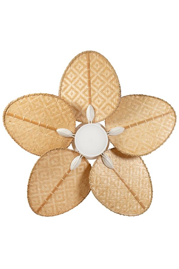 Lasttouch-Robin Aydınlatmalı Tavan Vantilatörü No:3-Aydınlatmalı Tavan Vantilatörleri-1-Milagron.com