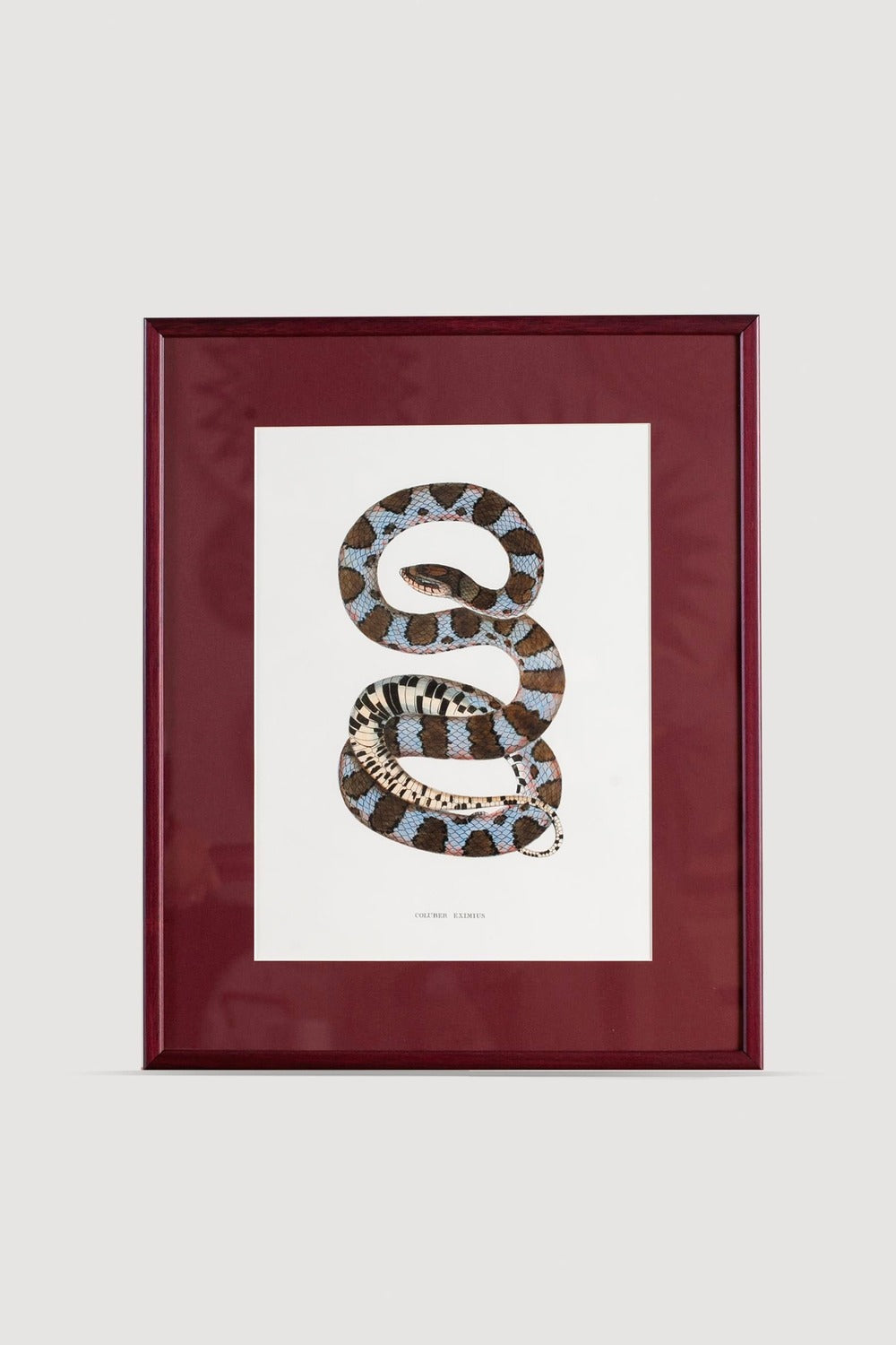 Lasttouch-Serpent Serisi Tablo No:1-Tablo-1-Milagron.com