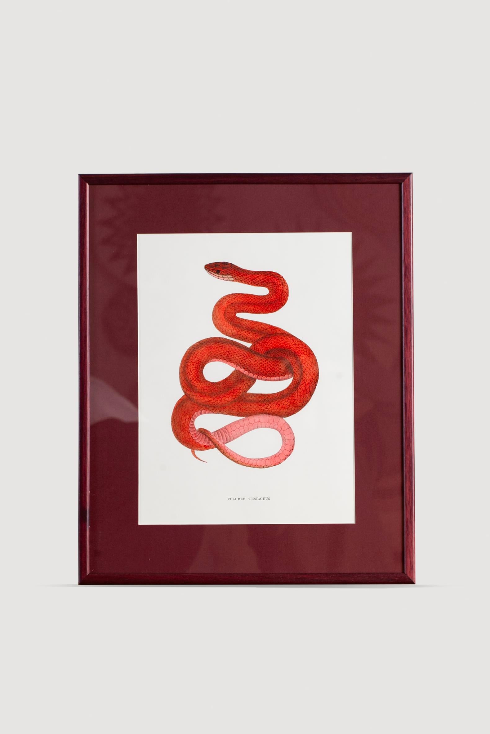 Lasttouch-Serpent Serisi Tablo No:2-Tablo-1-Milagron.com