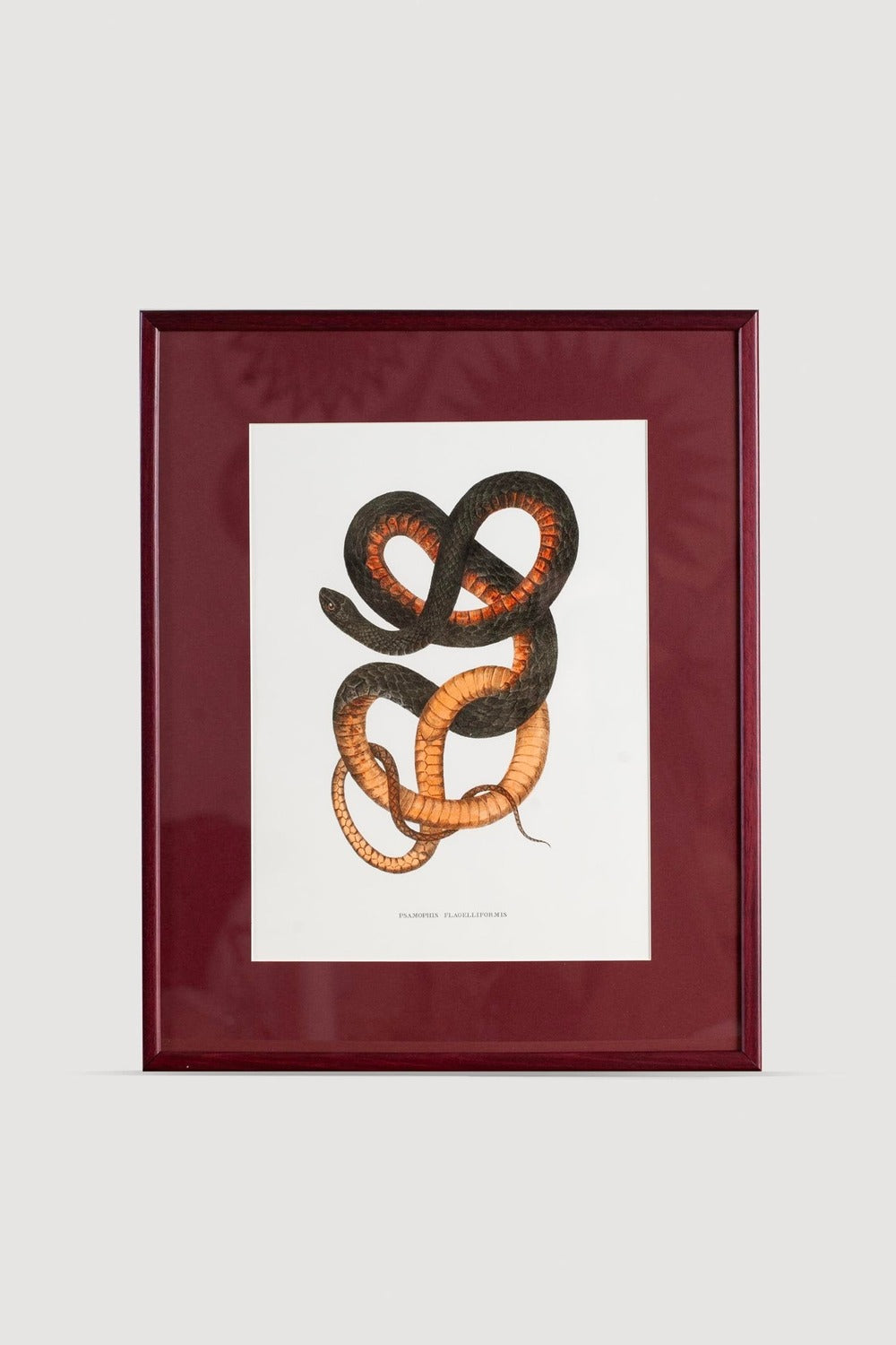 Lasttouch-Serpent Serisi Tablo No:4-Tablo-1-Milagron.com