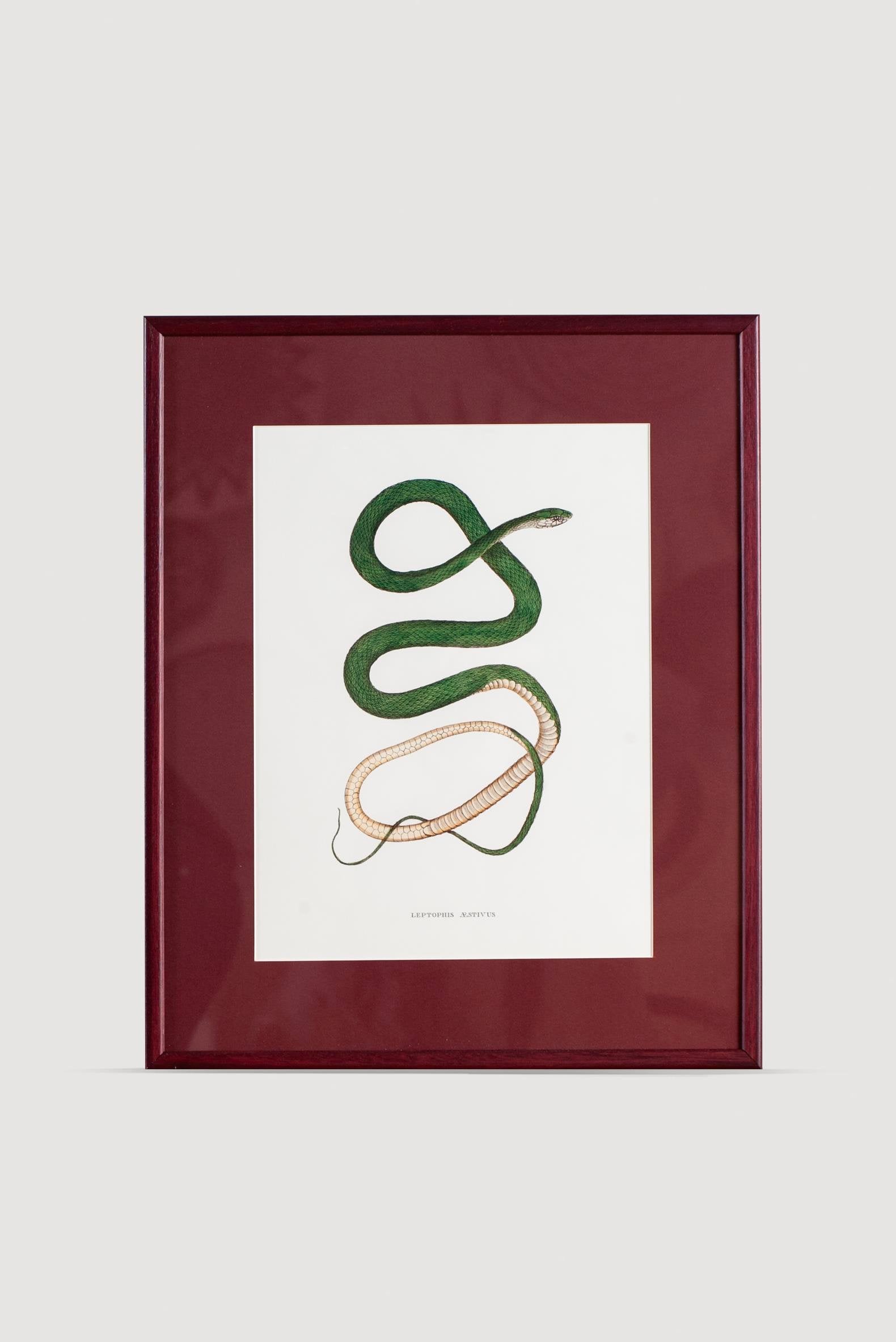 Lasttouch-Serpent Serisi Tablo No:5-Tablo-1-Milagron.com