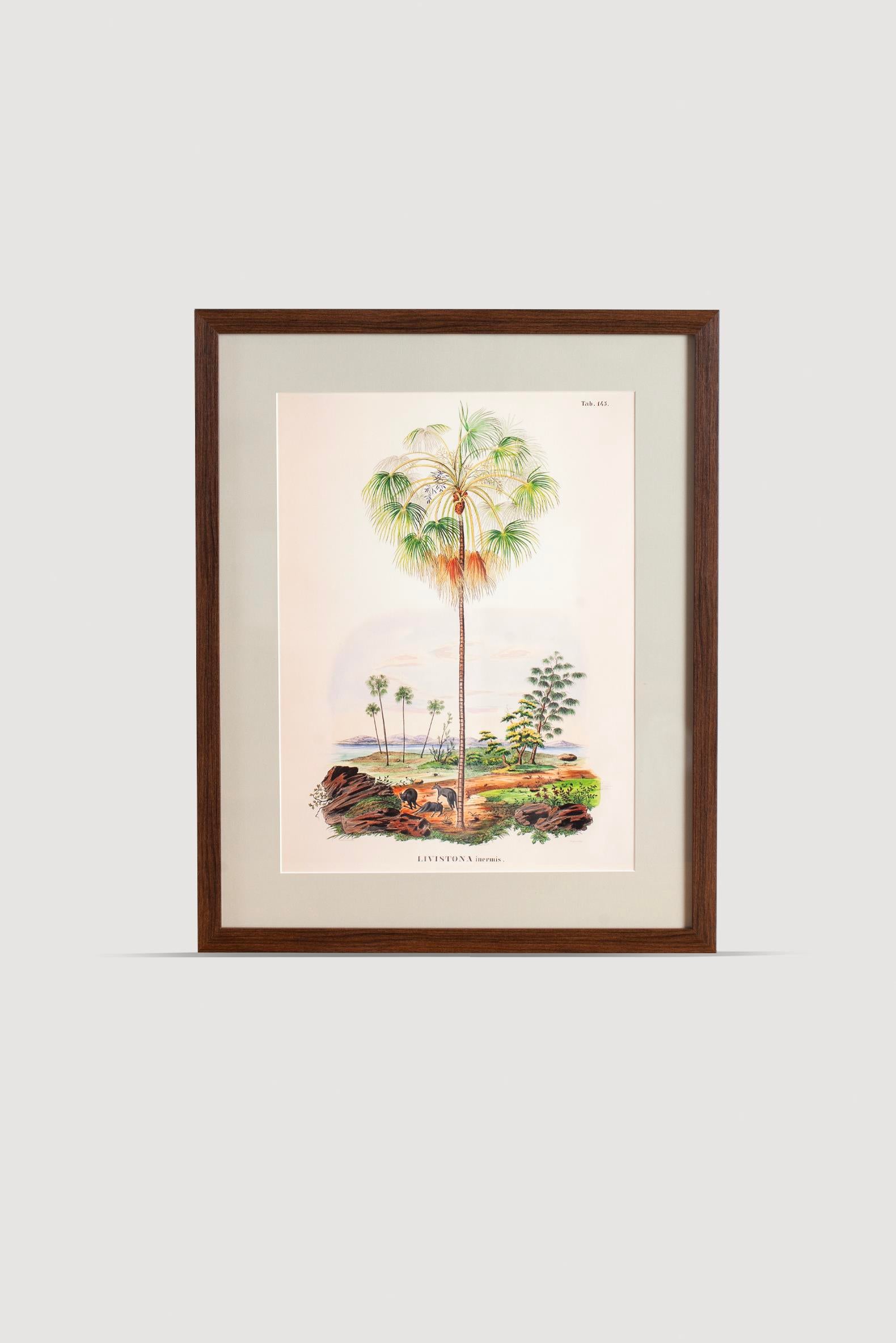 Lasttouch-Tropical Serisi Tablo No:2-Tablo-1-Milagron.com