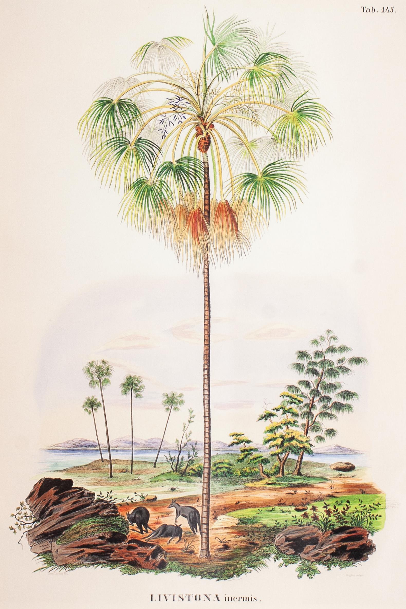 Lasttouch-Tropical Serisi Tablo No:2-Tablo-2-Milagron.com