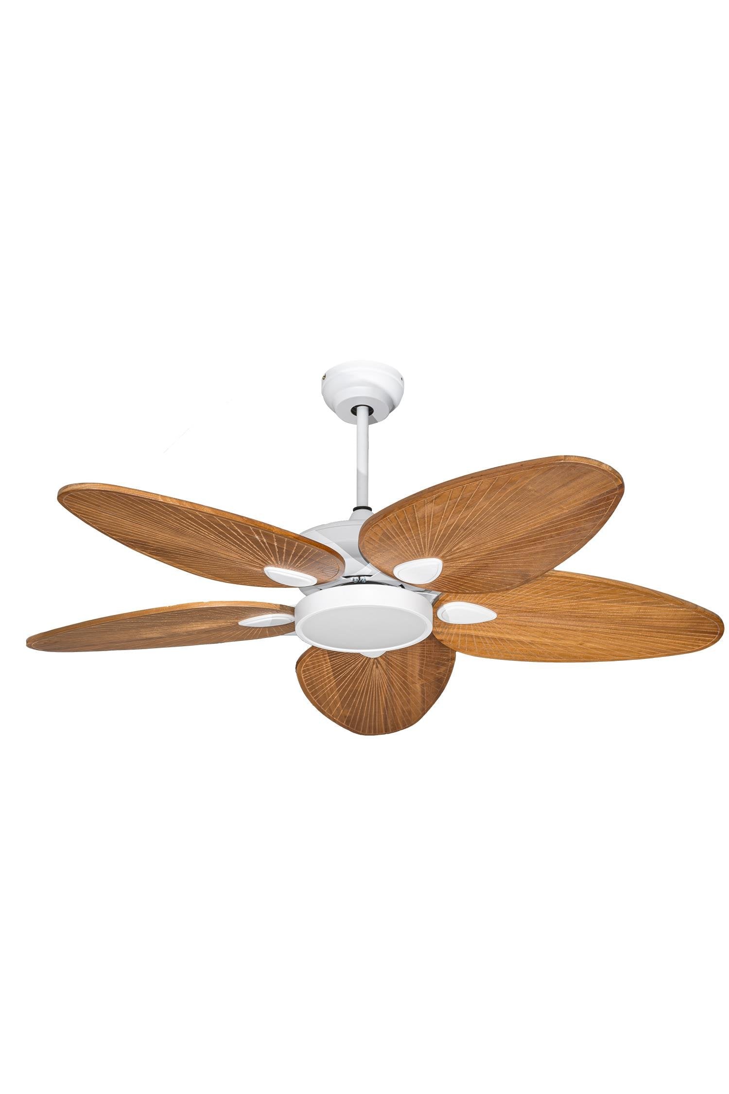 Lasttouch-Ventura Aydınlatmalı Tavan Vantilatörü-Aydınlatmalı Tavan Vantilatörleri-1-Milagron.com