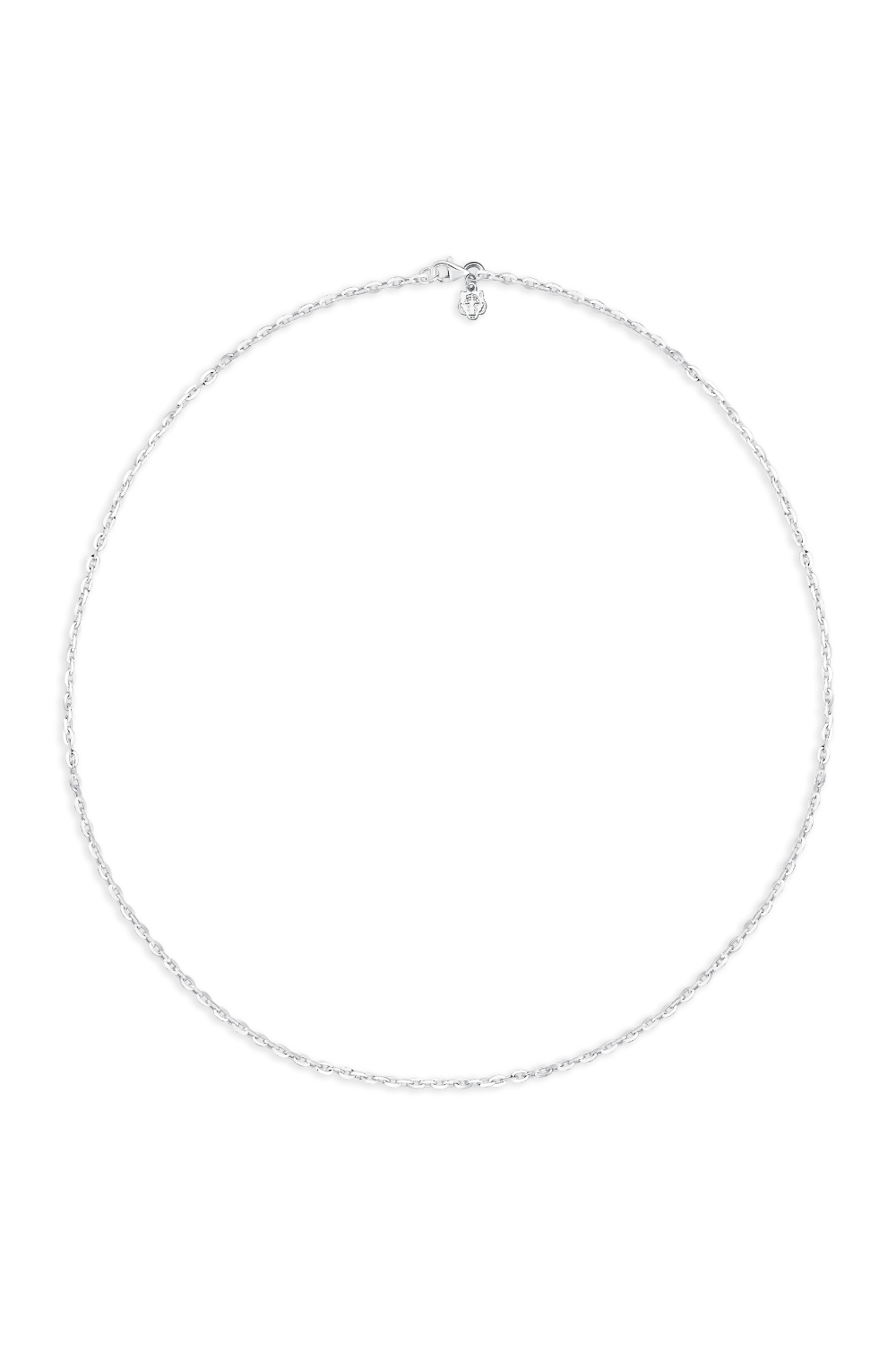 Les Tigres-Kaplan Charm Palm Zincir Kolye-Kolye-1-Milagron.com