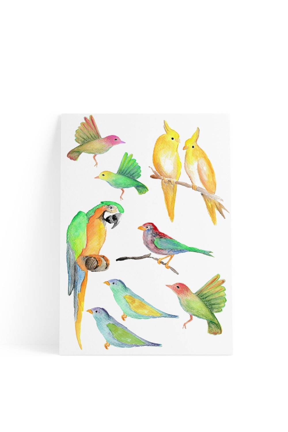 Lil'Gaea-Kuşlar Duvar Etiketi-Duvar Dekorları-1-Milagron.com