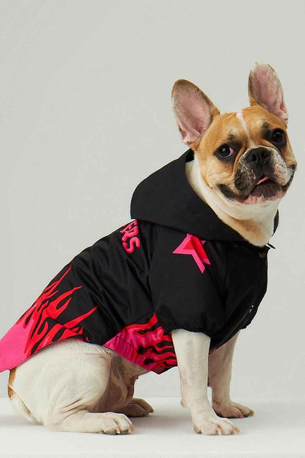 Little Monsters-Black Fire Yağmurluk-Köpek-2-Milagron.com